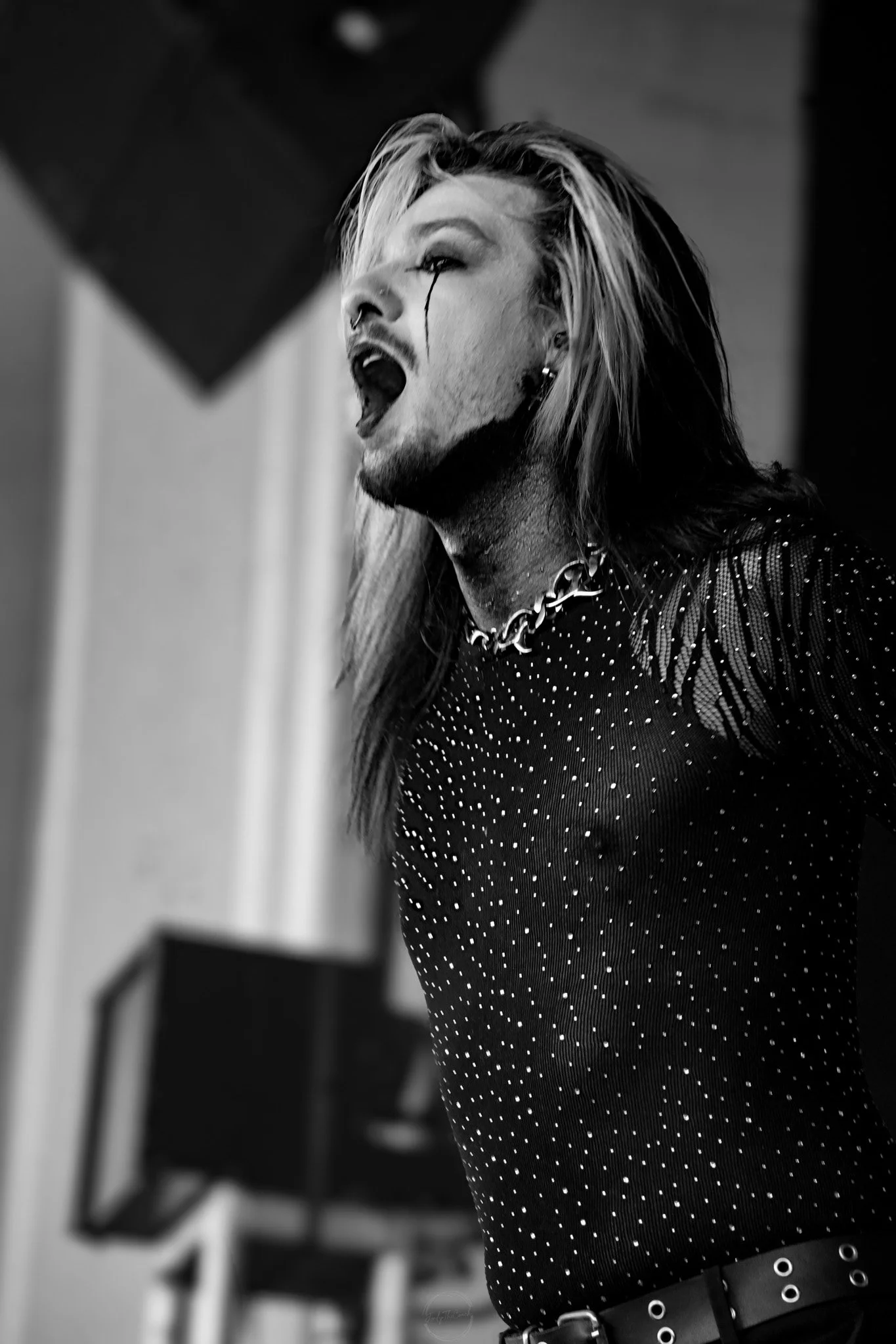 Dark Divine SOL-180.jpg