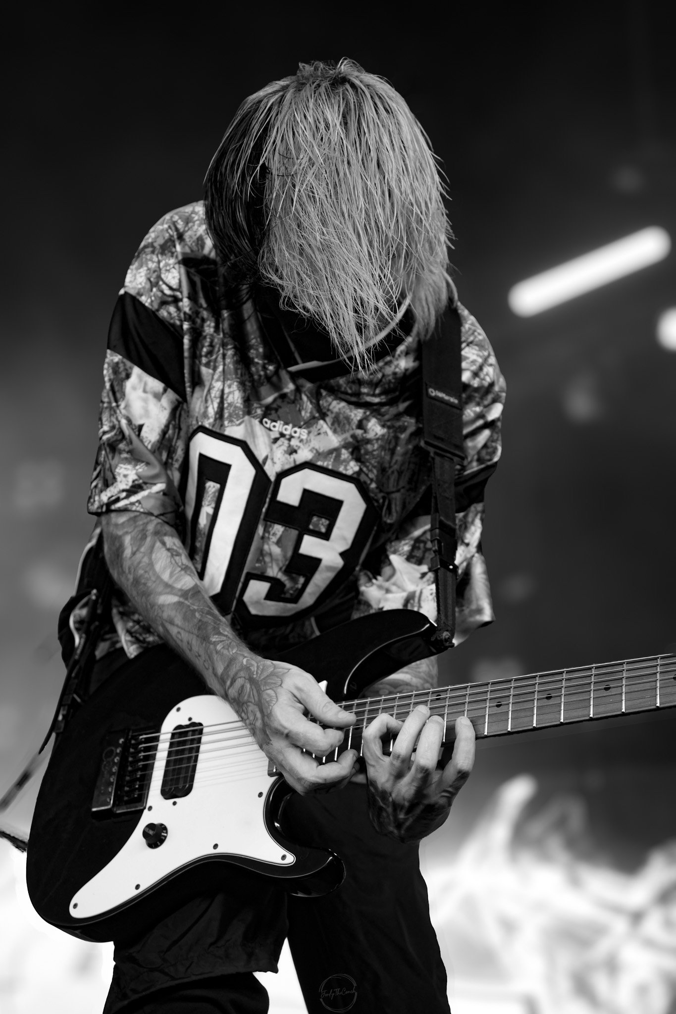 Alphawolf-100.jpg