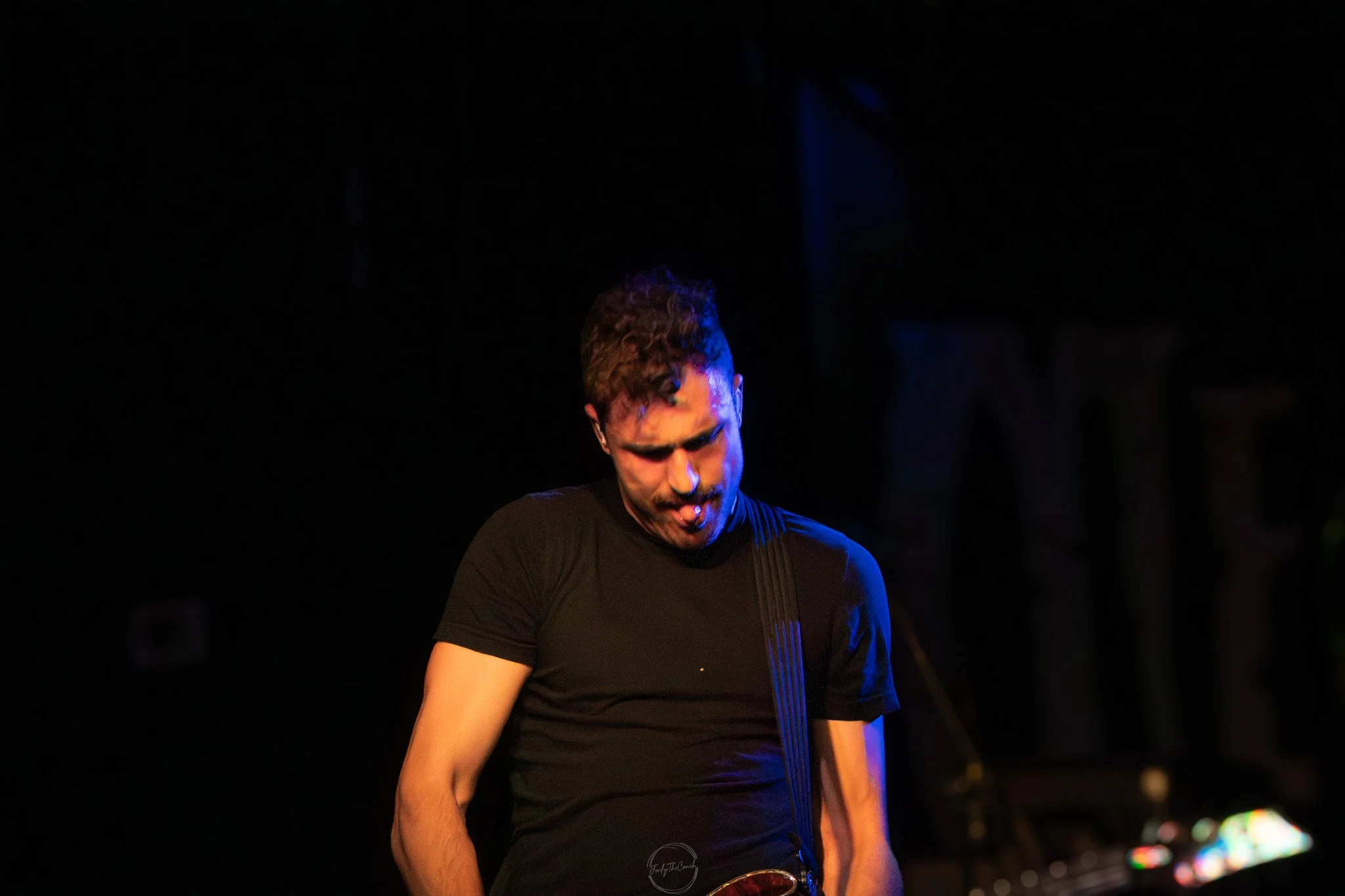 Stray 04-20-24.jpg