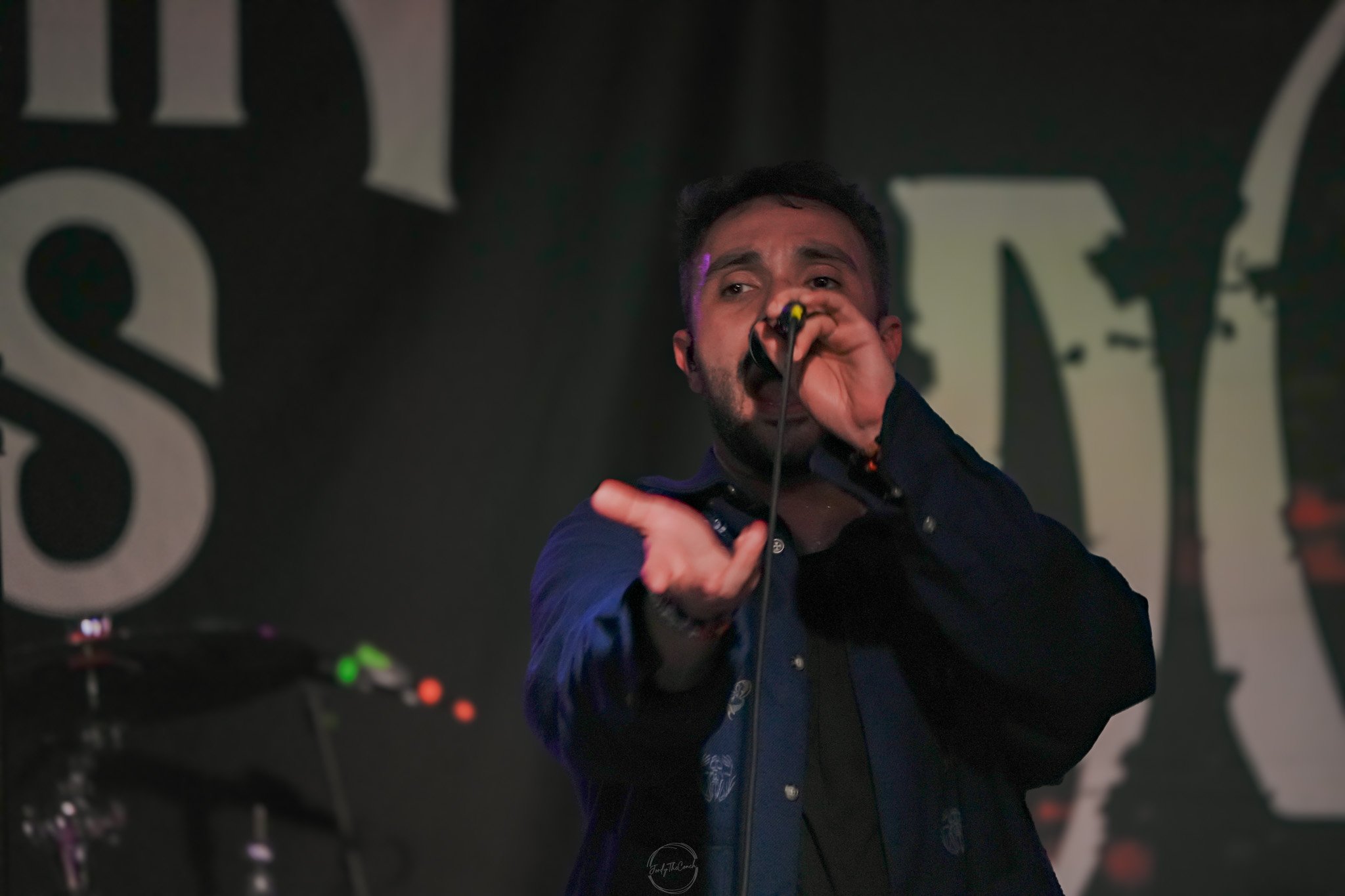 Stray 04-20-130.jpg