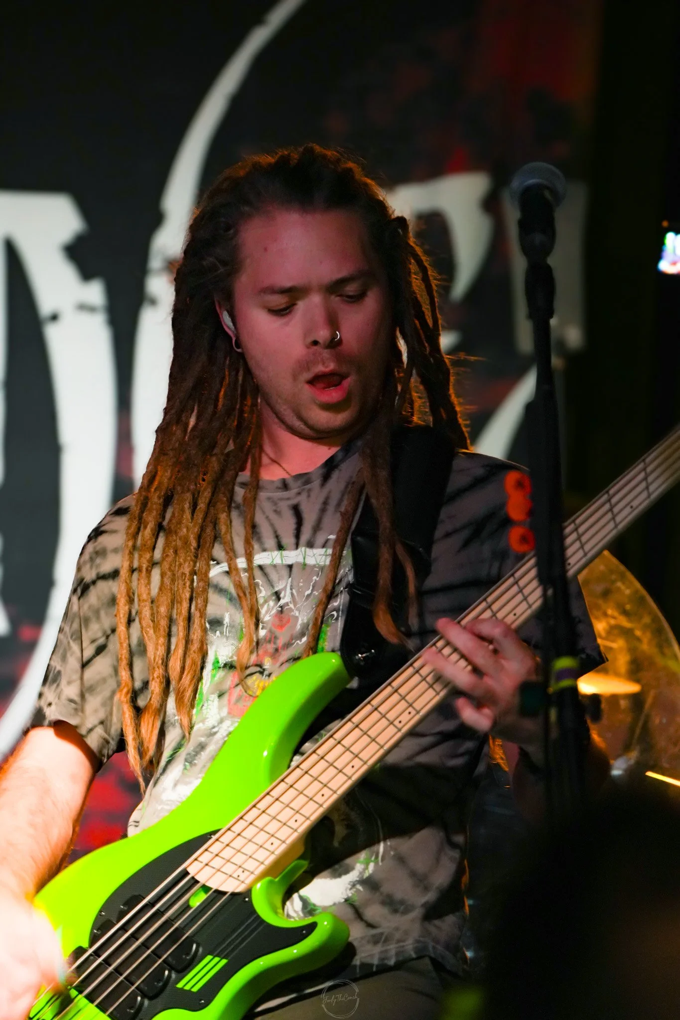 Stray 04-20-116.jpg
