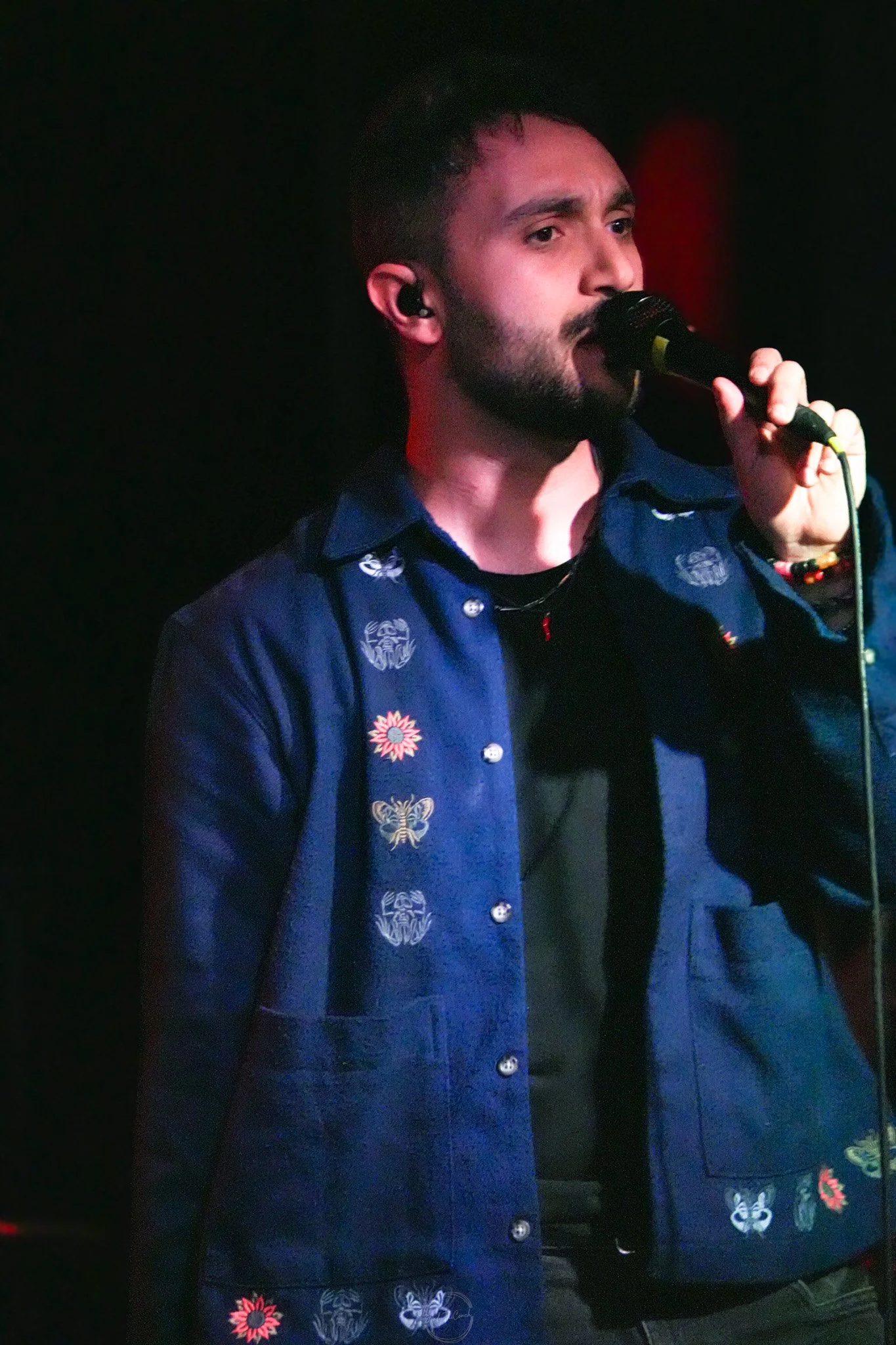 Stray 04-20-58.jpg