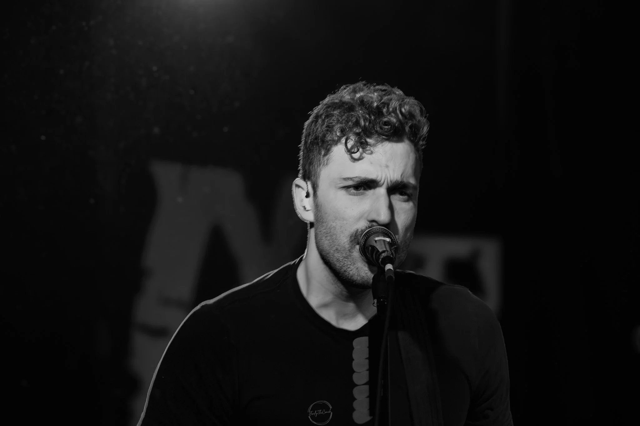 Stray 04-20-1.jpg