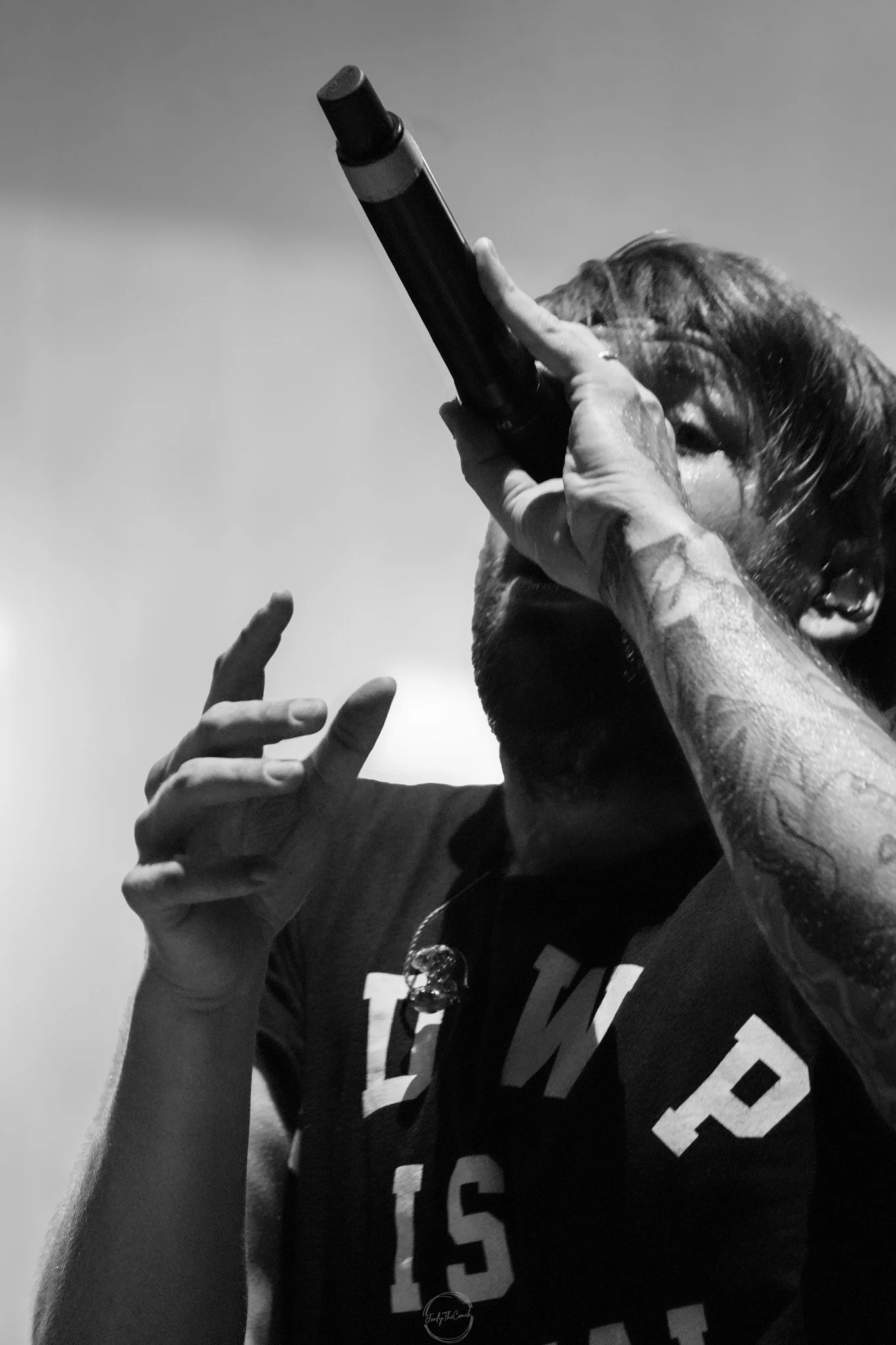 Beartooth SOL-519.jpg