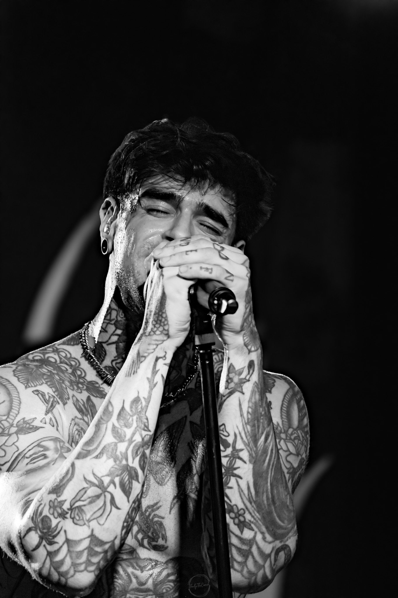 Melrose 04-20-178.jpg