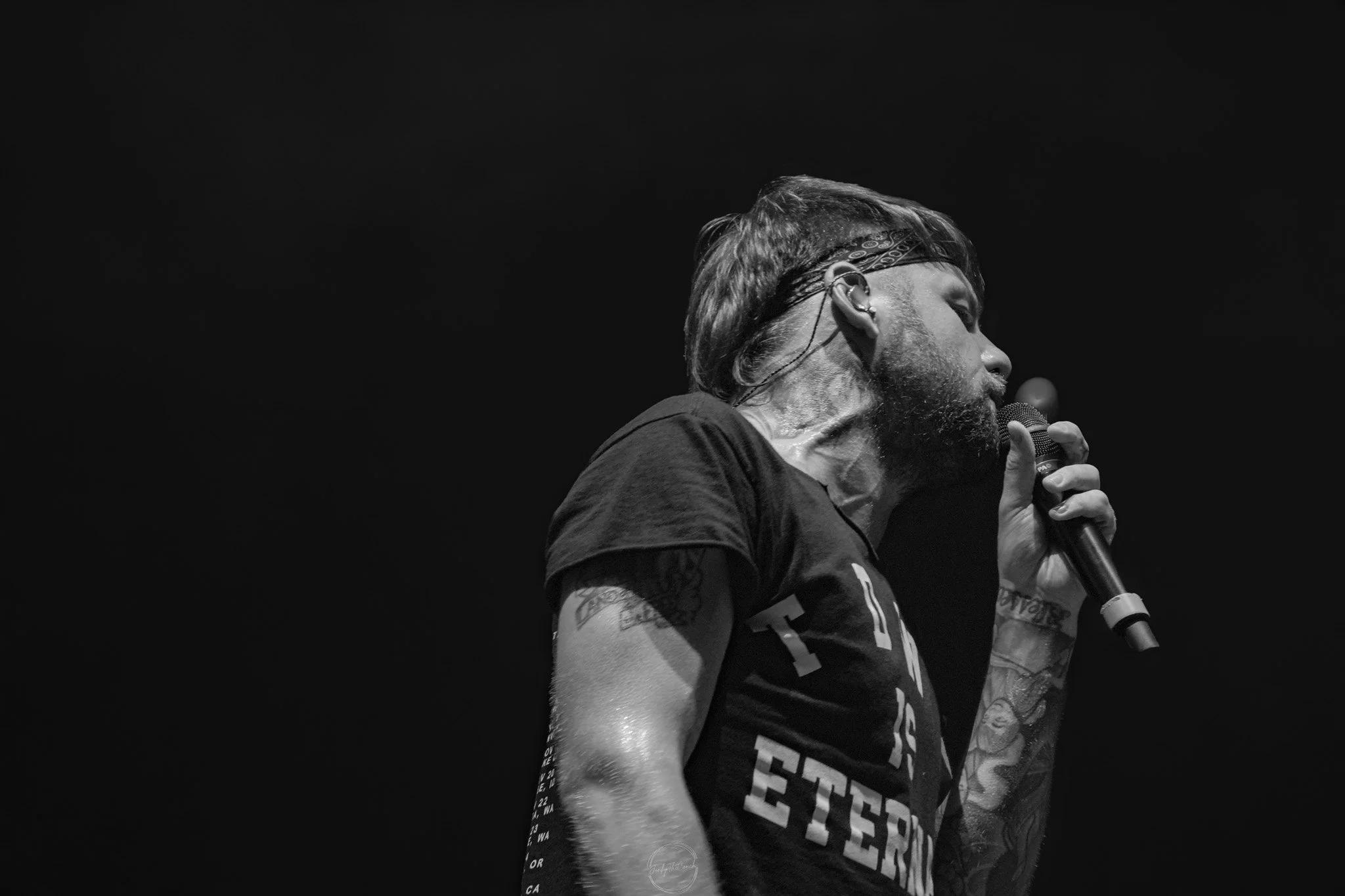 Beartooth SOL-550.jpg