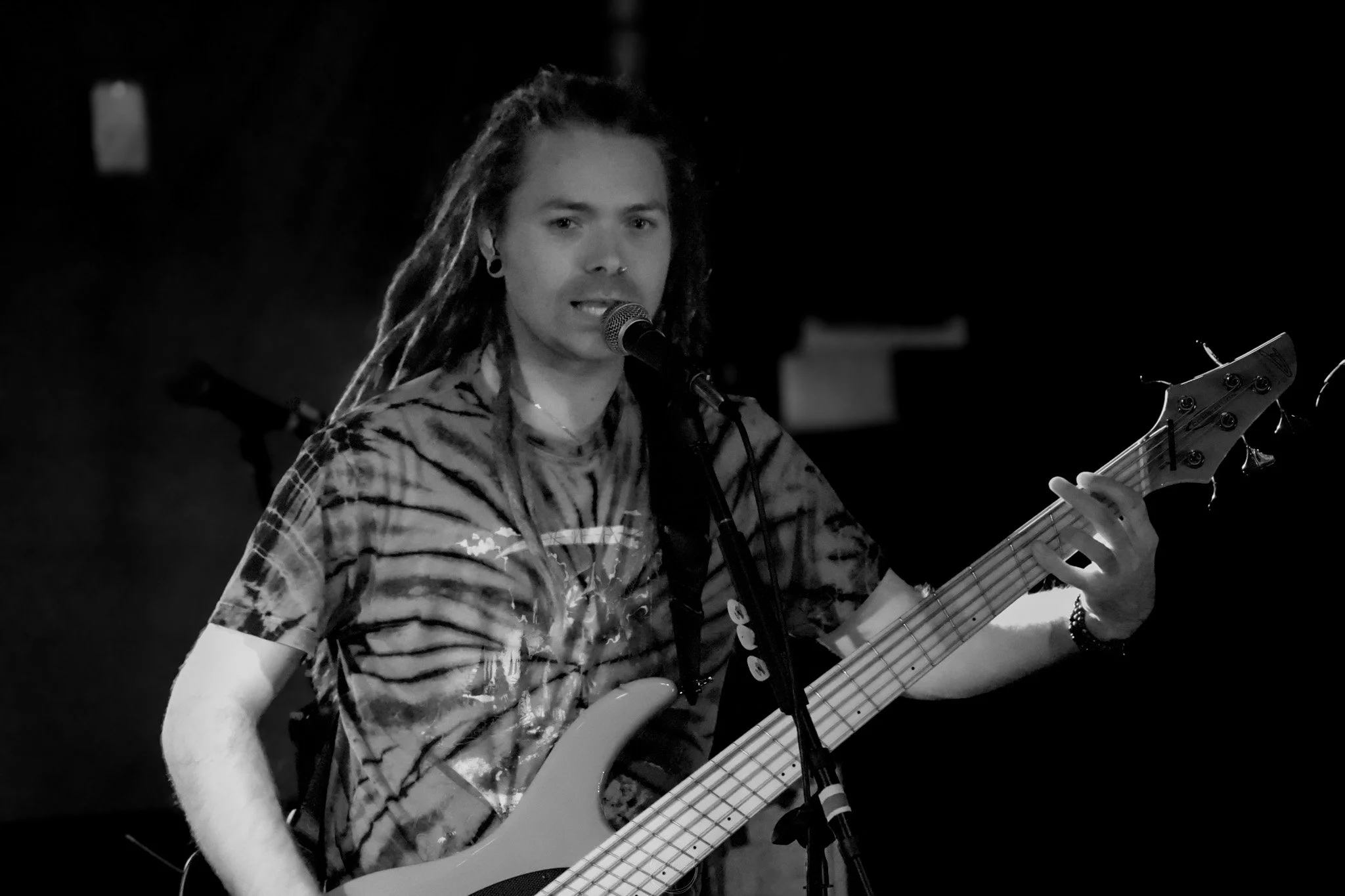 Stray 04-20-50.jpg