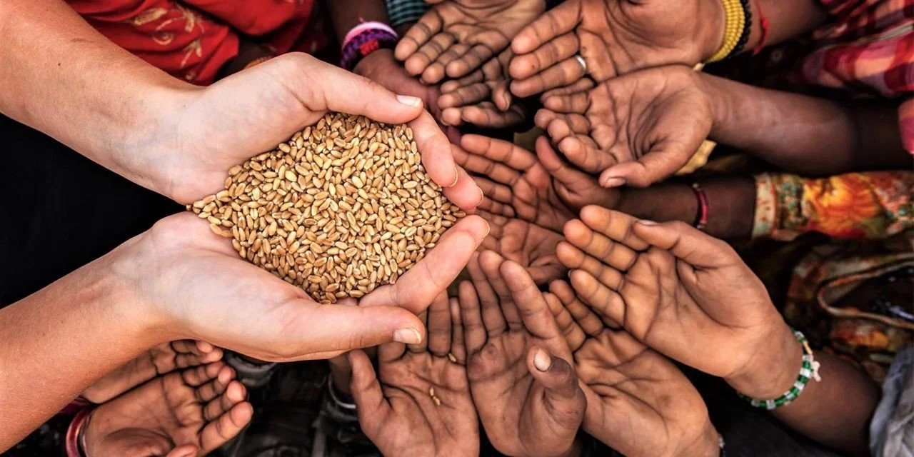 When to Consider Charitable Giving in Your Investment Plan