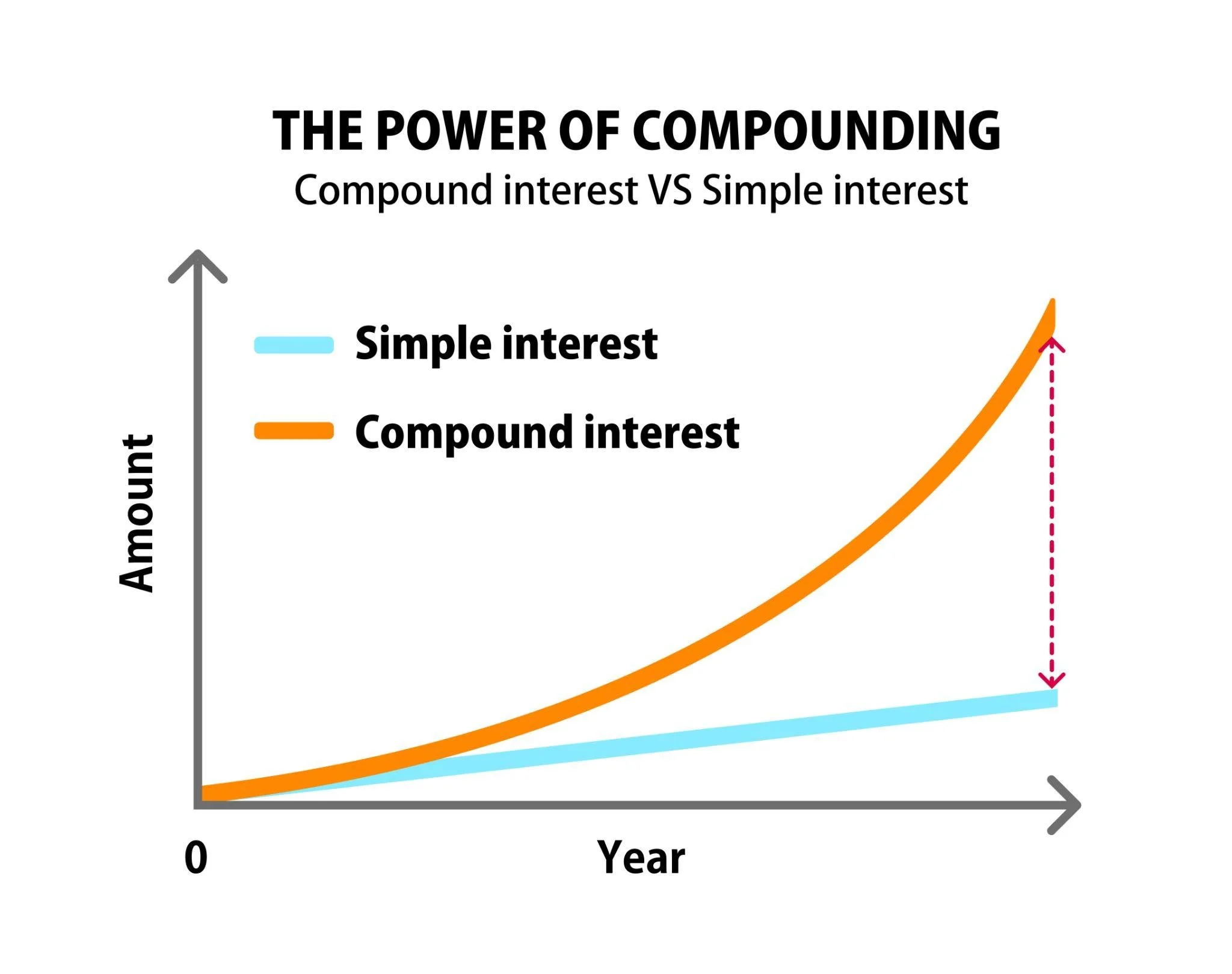 The Power of Compounding: Building Wealth Over Time