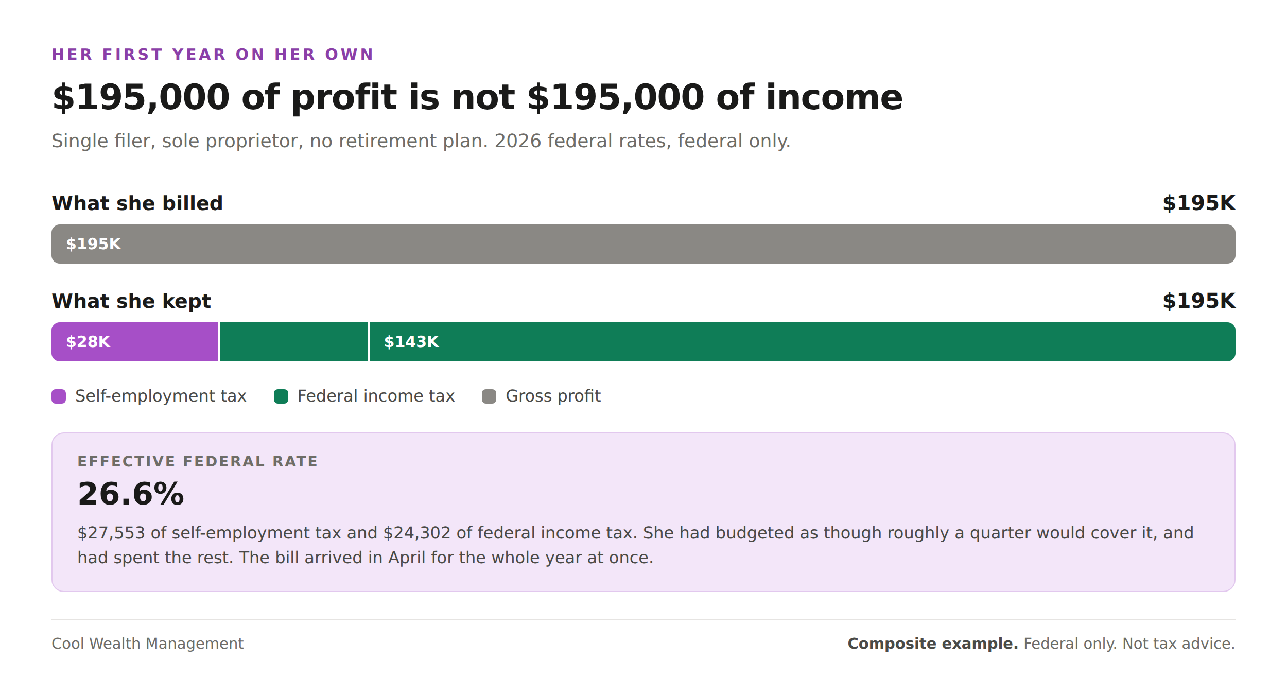 Bar chart comparing $195,000 of gross consulting profit against what remained after $27,553 of self-employment tax and $24,302 of federal income tax.