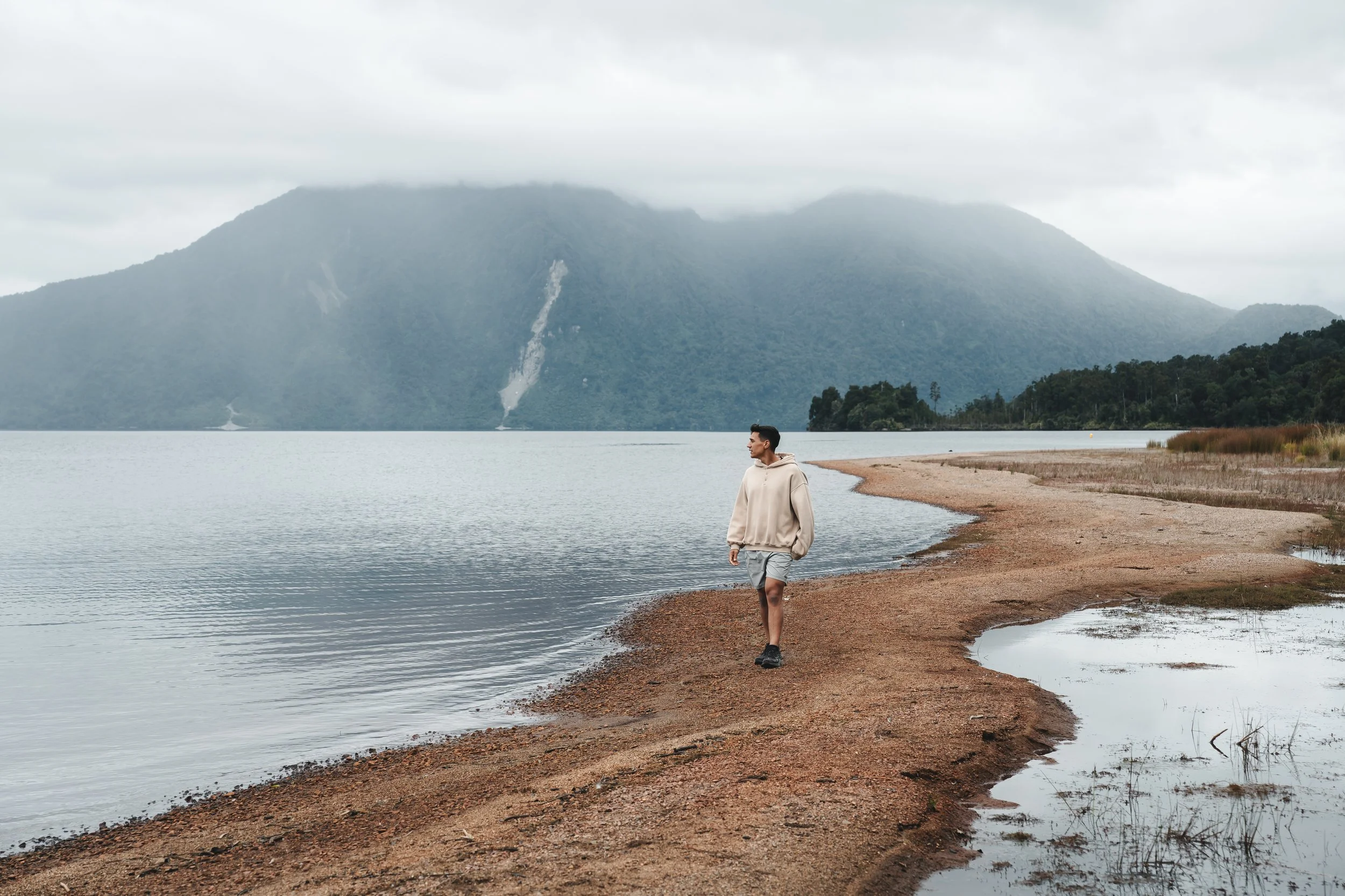 4.1.1.6 Nat - Lake Brunner - Mt Te Kinga.jpg
