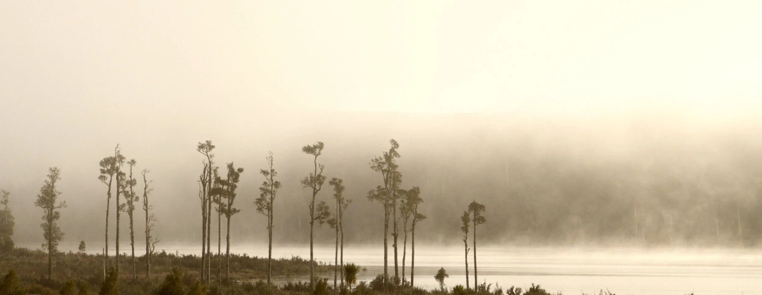 Why Rainy Days Are Some of the Best Days on New Zealand’s West Coast