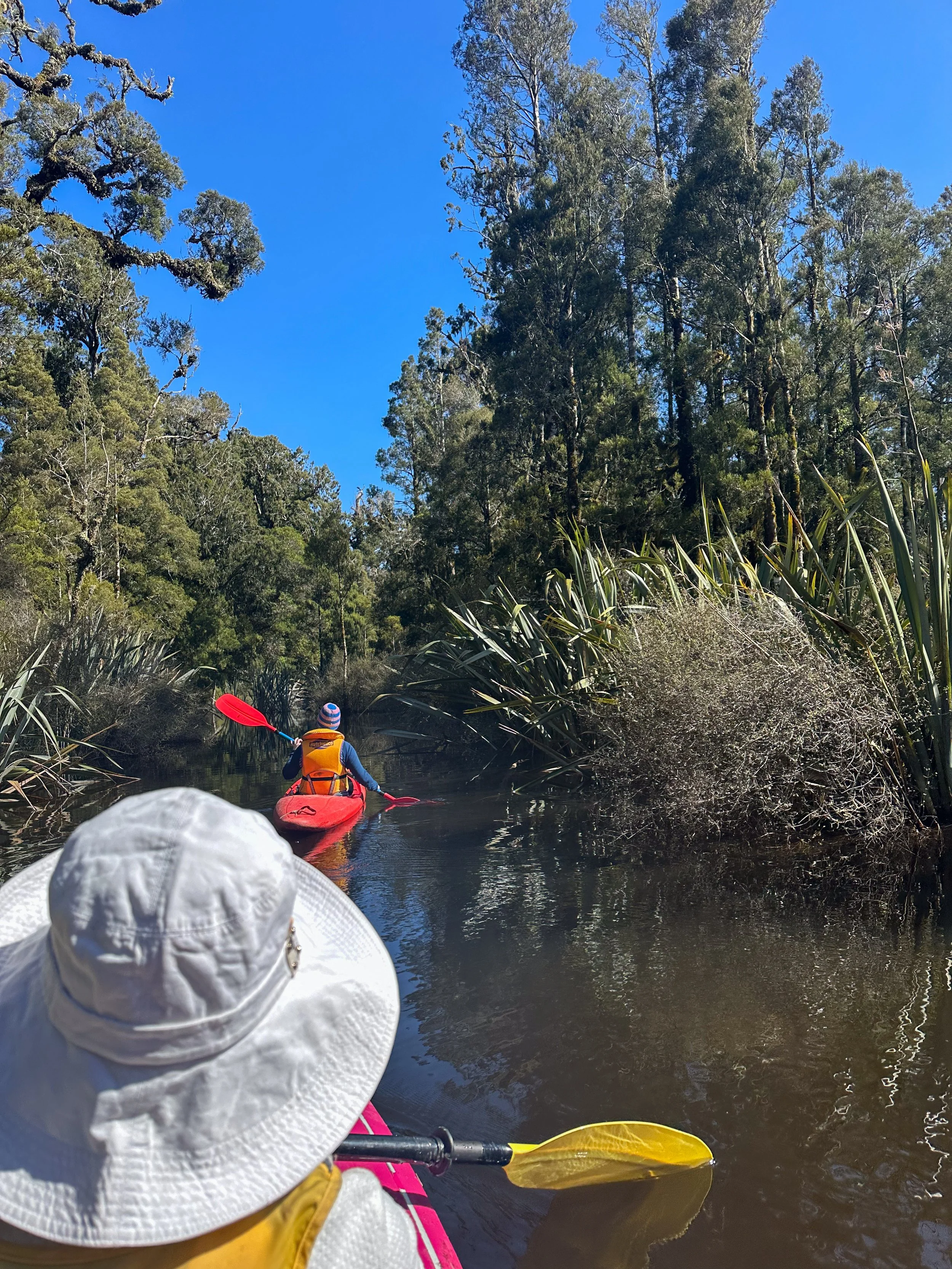 Guests kayaking on the calm waters of Lake Brunner, surrounded by native wetlands and forest on New Zealand’s West Coast.
