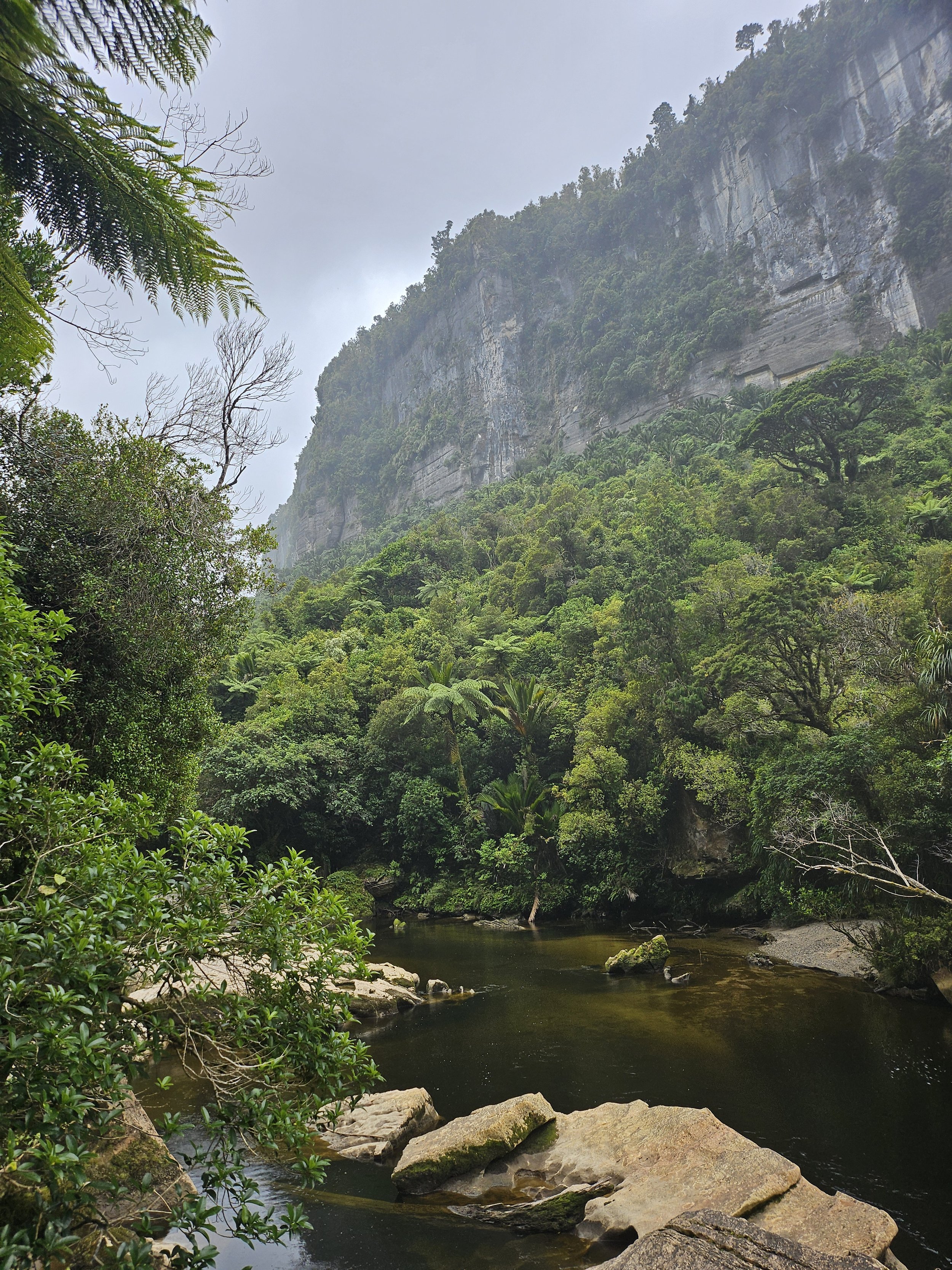 Pororari River Track in Paparoa National Park on New Zealand’s West Coast, showing limestone cliffs, native forest, and calm river during a day trip from Lake Brunner Eco Lodge