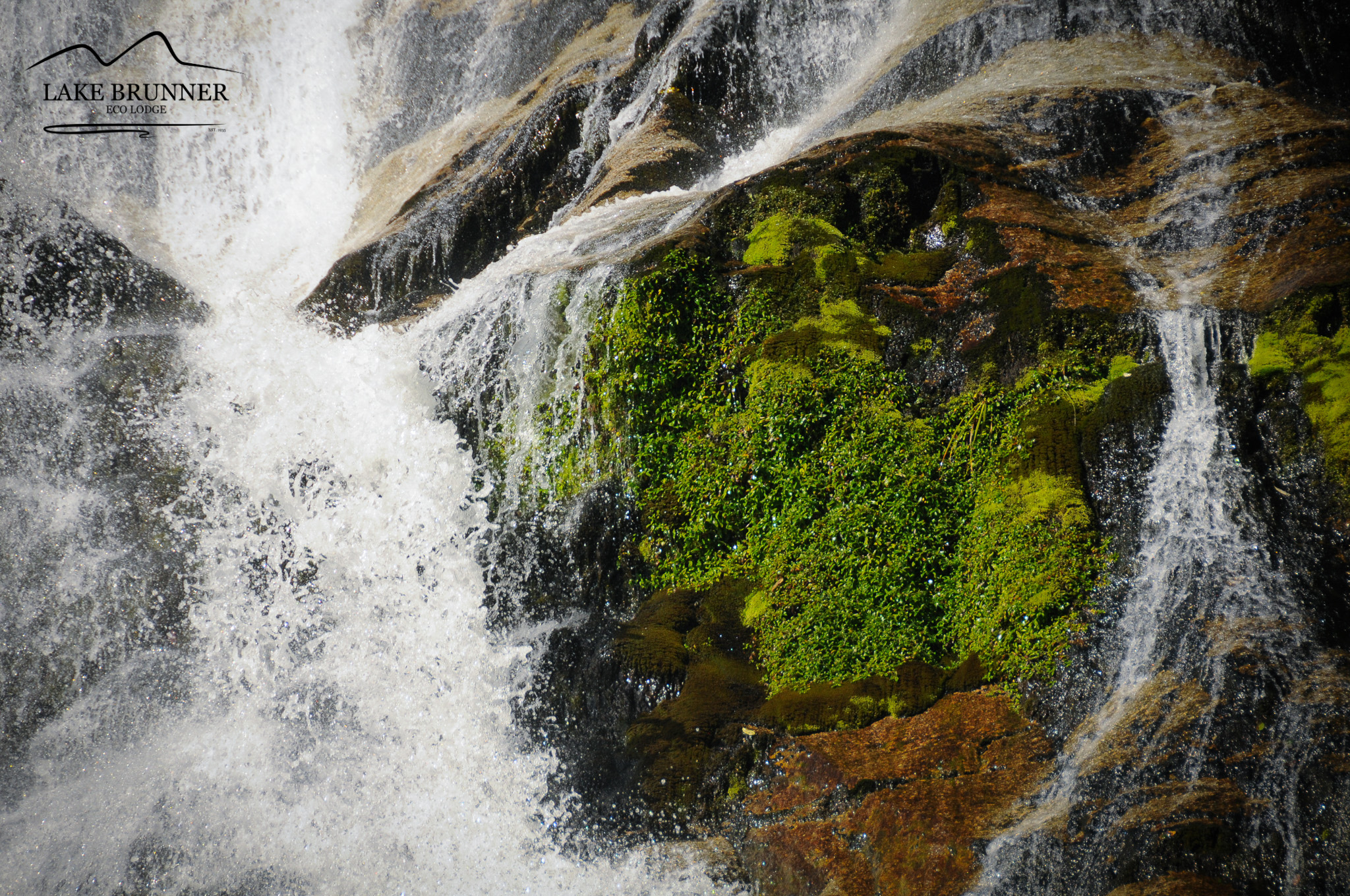 Close-up of a moss-covered Carew Falls cascading over rocks in New Zealand’s West Coast forest.