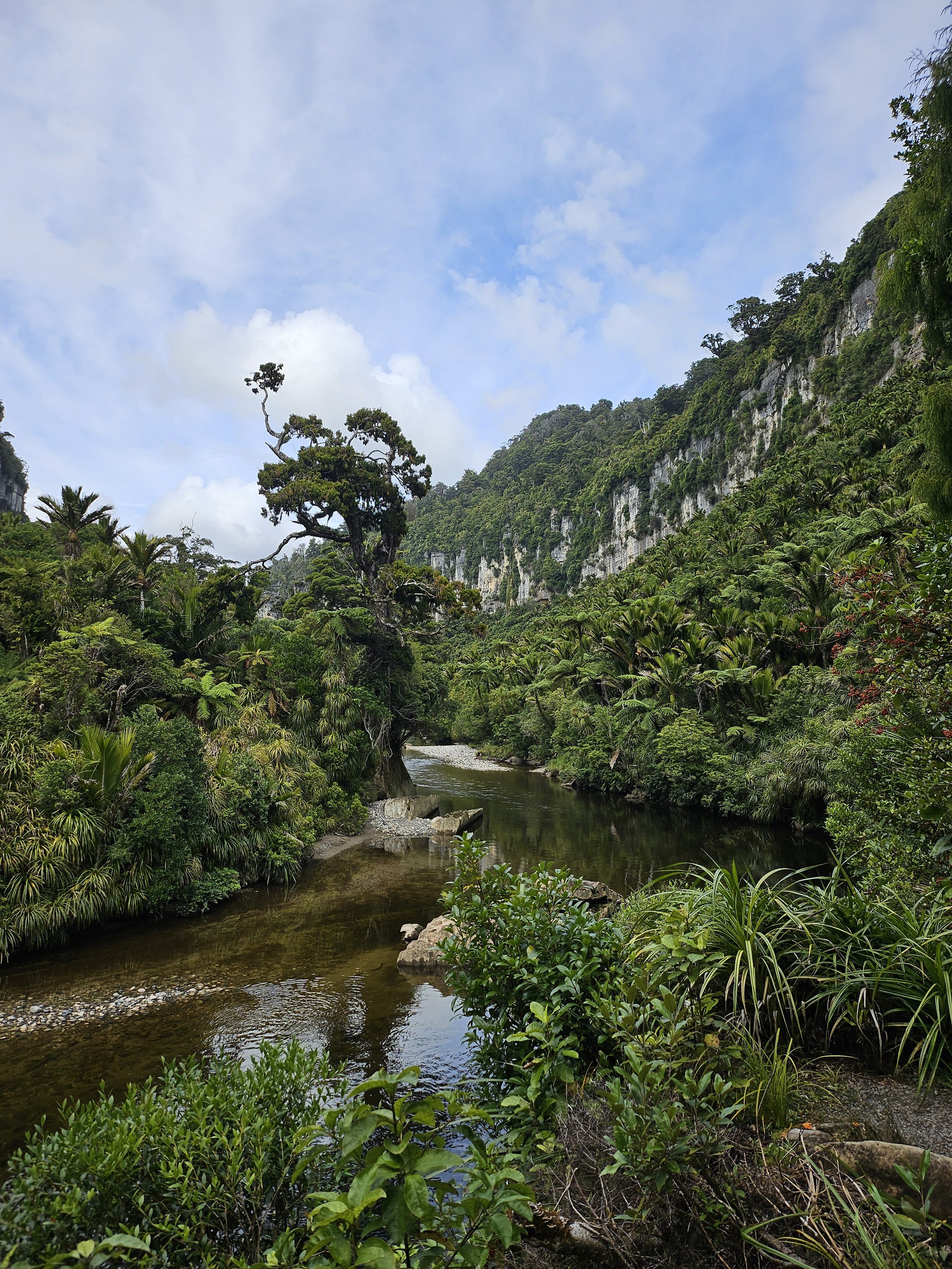 Pororari River and limestone cliffs in Paparoa National Park on New Zealand’s West Coast, a scenic walk visited on a day trip from Lake Brunner Eco Lodge