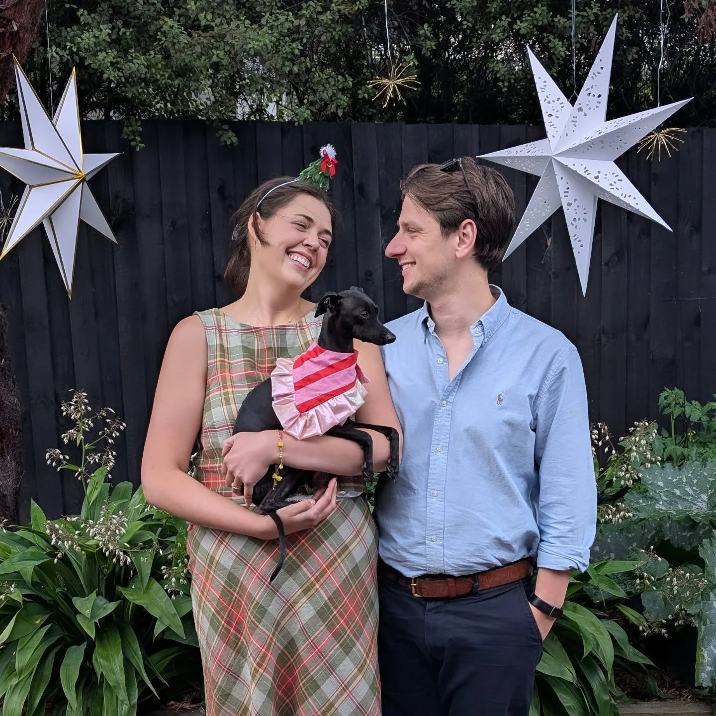 Merry Christmas 🎄✨