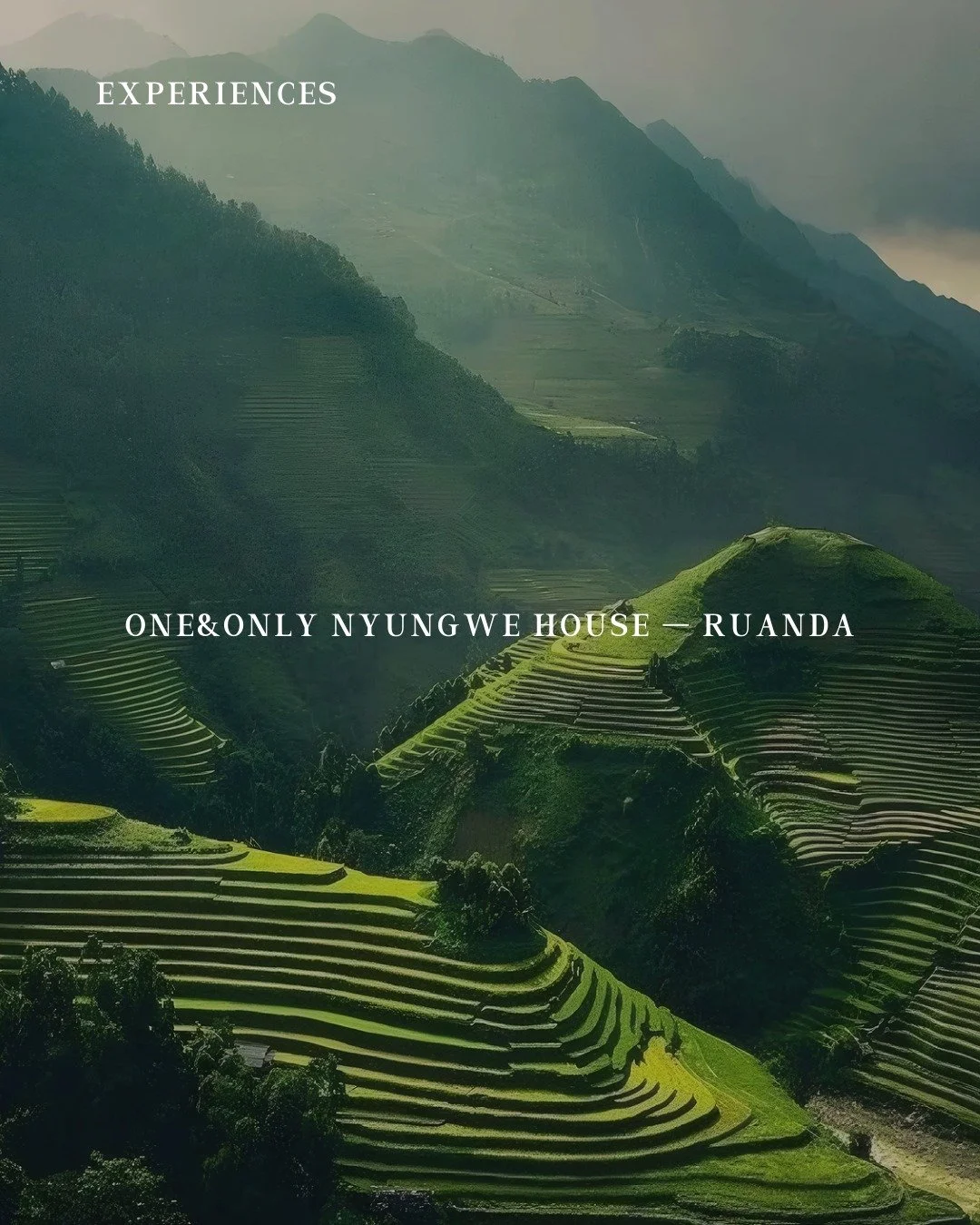 A luxury safari experience in Rwanda that goes beyond the expected. One&amp;Only Nyungwe House offers private chimpanzee trekking with expert trackers, a scenic helicopter flight over Nyungwe Forest, and a guided forest canopy walk with a naturalist.