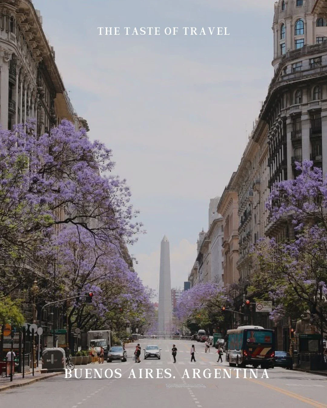 Buenos Aires fine dining goes far beyond the steakhouse. 

Don Julio perfects Argentine grilling, Tegui reimagines local ingredients with modern technique, and Aramburu delivers intricate tasting menus with bold flavors. A culinary scene driven by fi