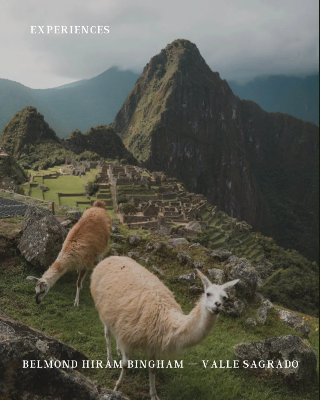 Peru becomes a moving experience aboard the Belmond Hiram Bingham in the Sacred Valley. This iconic train journey offers private guided access to Machu Picchu, gourmet Andean cuisine on board, and cocktails with live music in the panoramic observatio