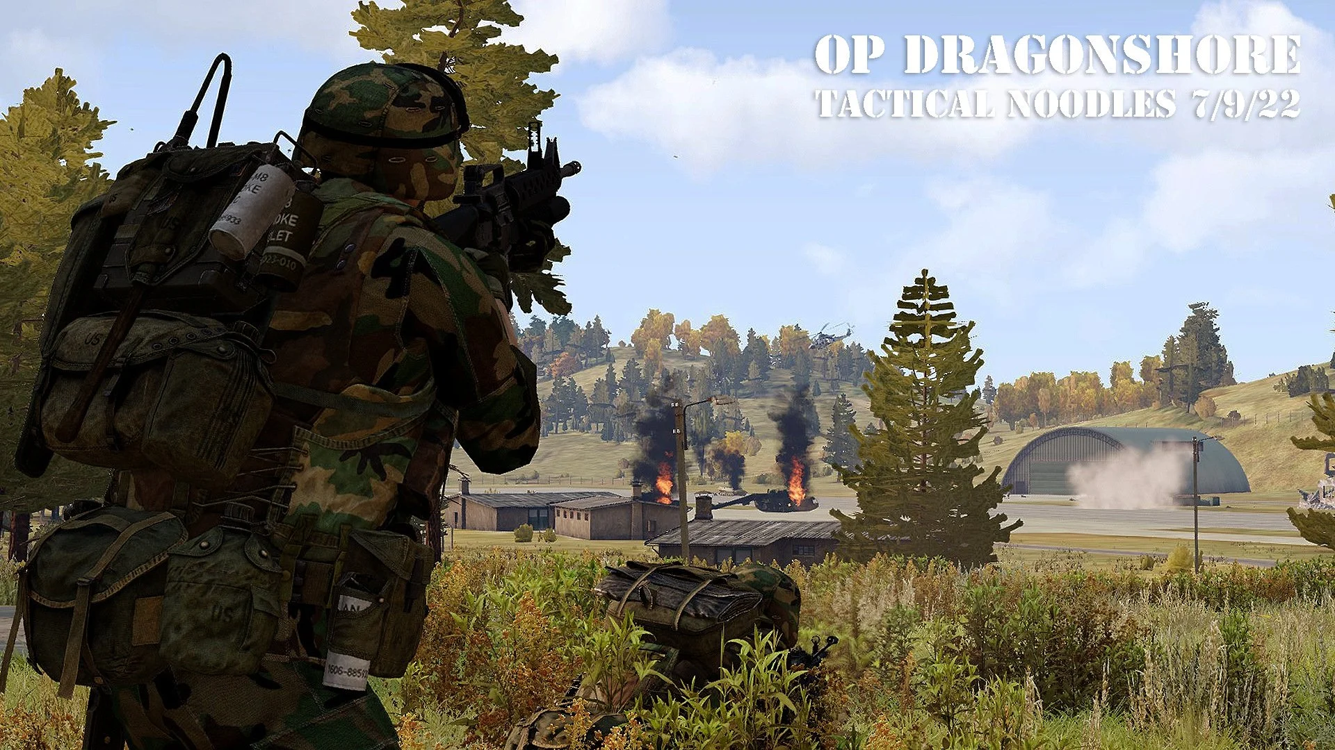 337.jpg