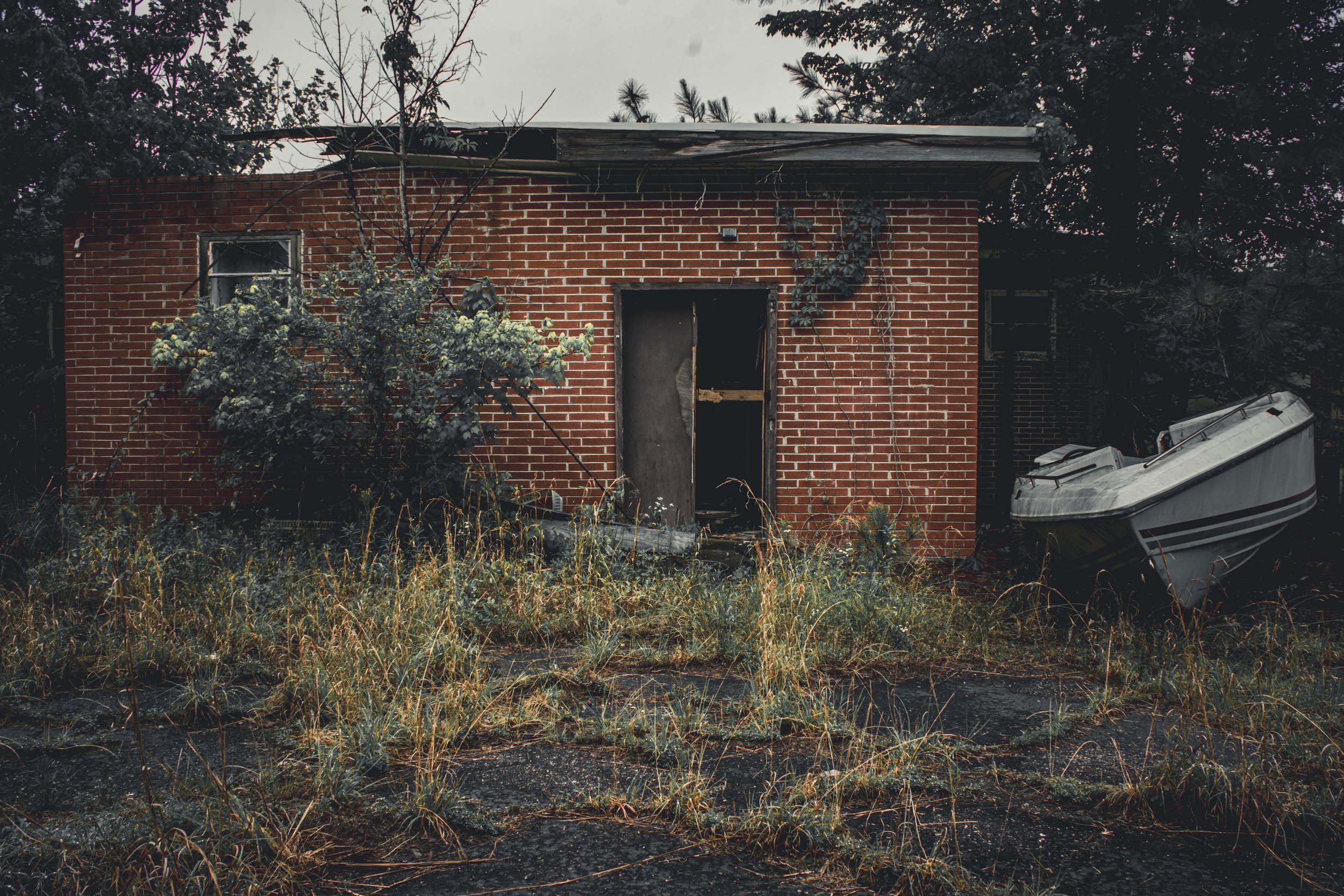 _DSC0041.jpeg