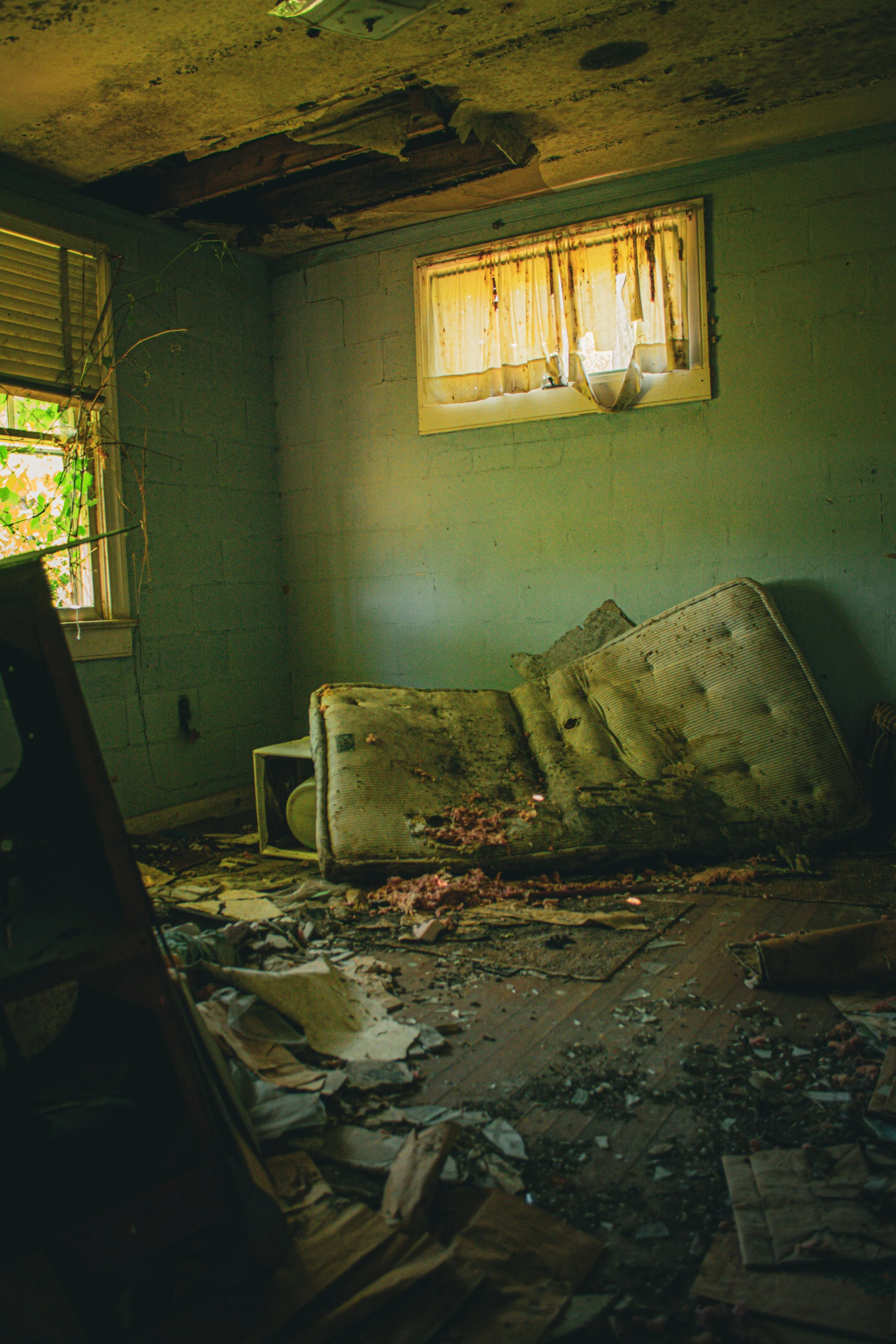 _DSC9904.jpeg