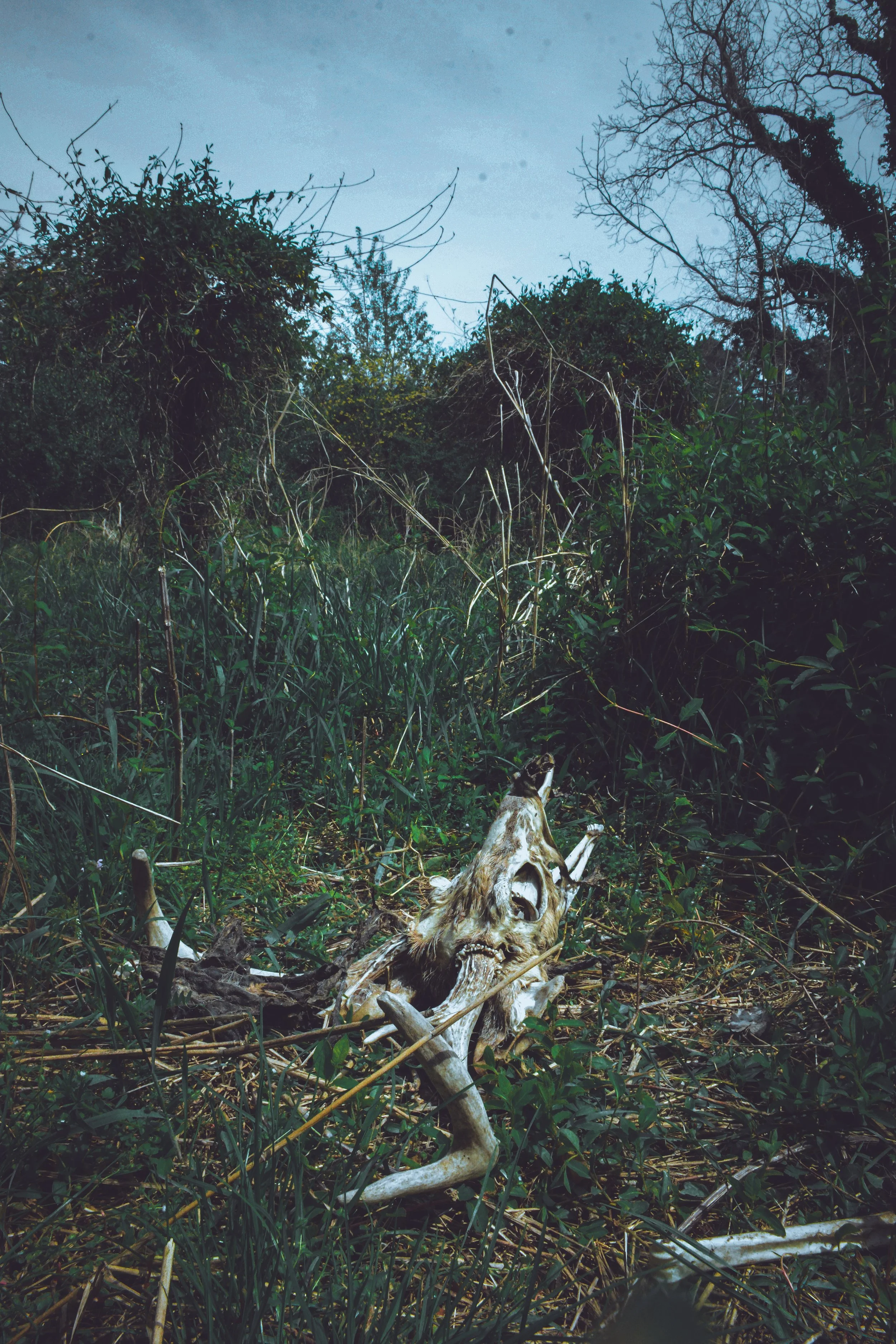 _DSC8103 5.JPG