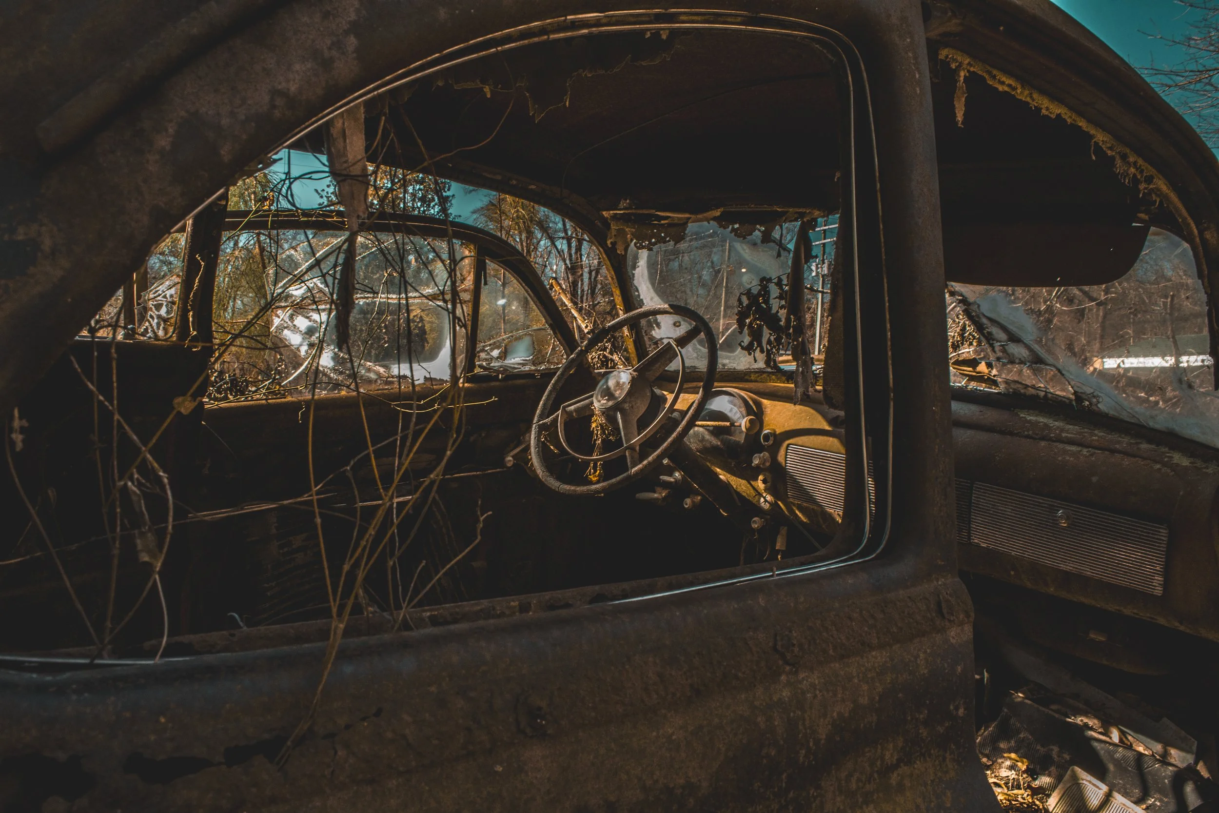_DSC9695.jpeg