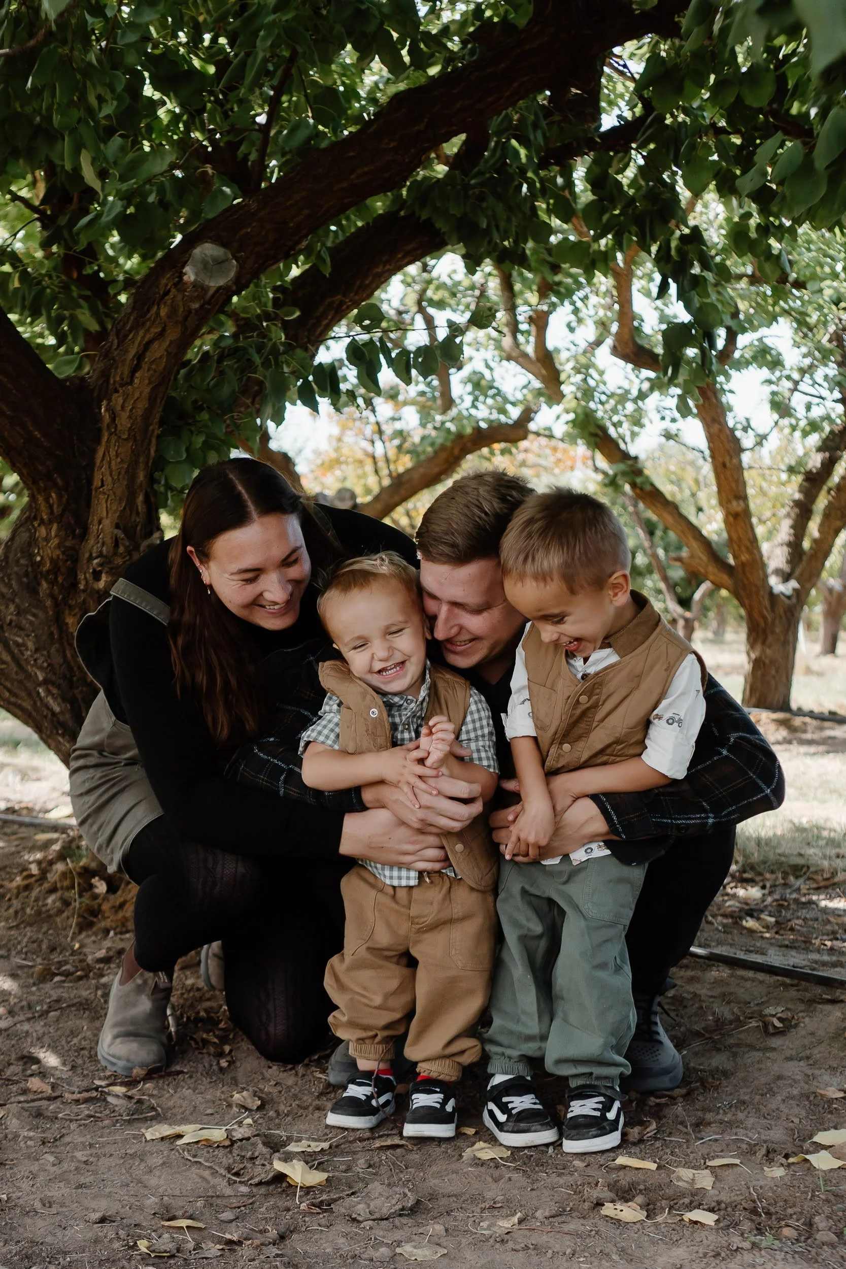 A photo of a family, with the mother and father crouching down to hug two toddle boys in front of apple orchard trees.