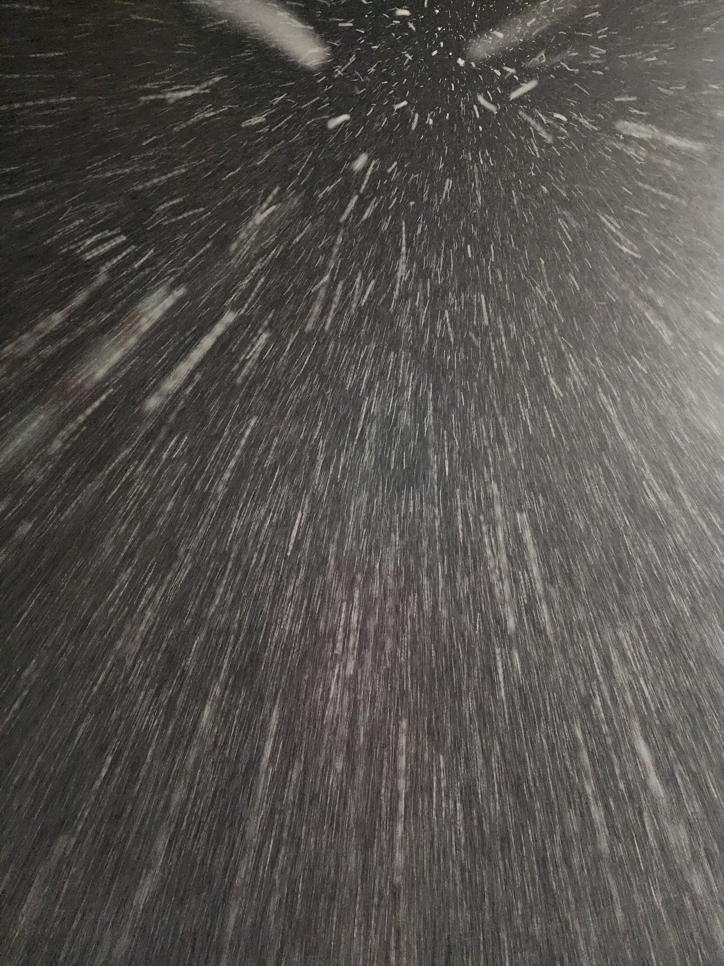 20231202_205035.jpg