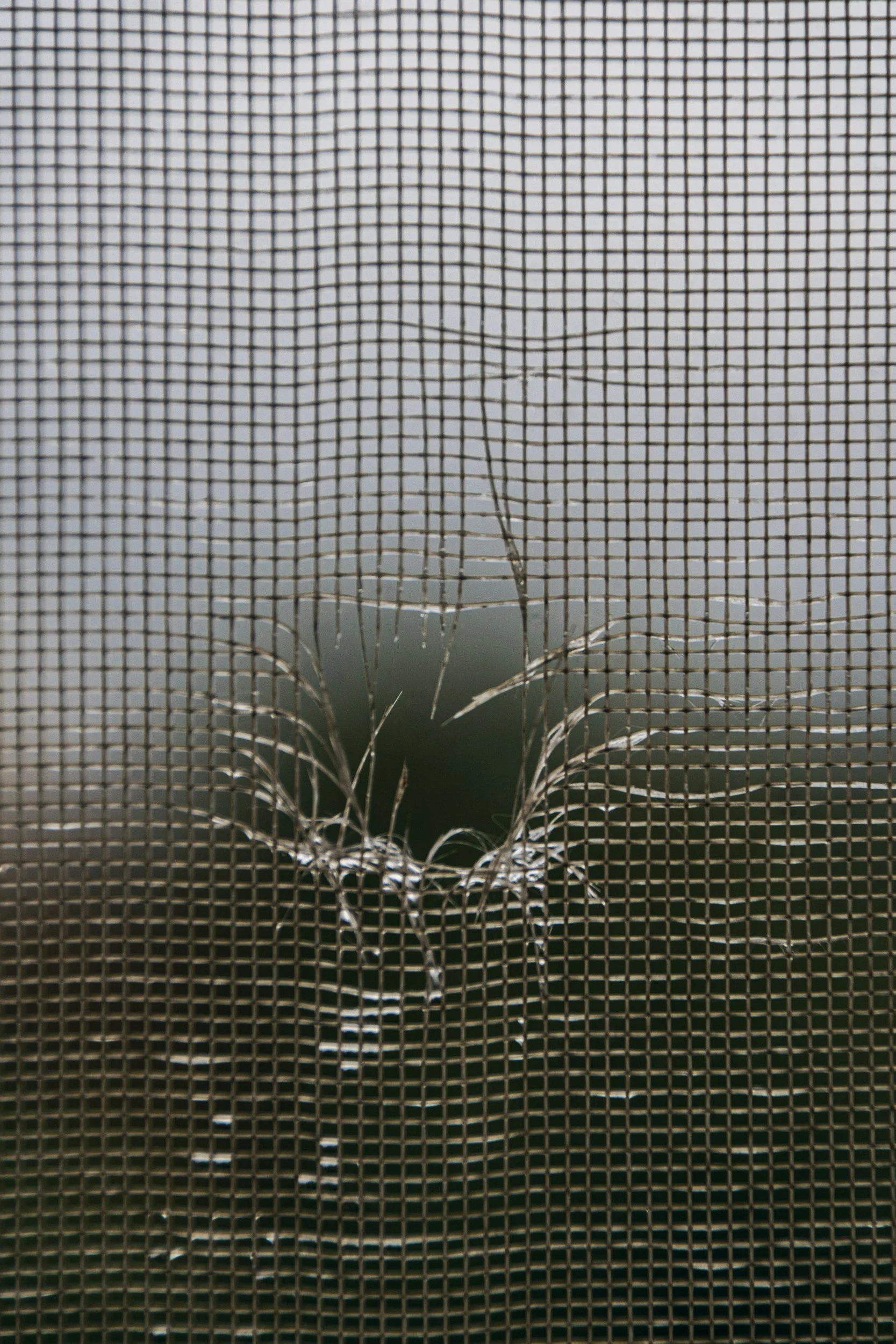 A close-up of a window screen with a large hole and torn edges, exposing blurry scenery outside.