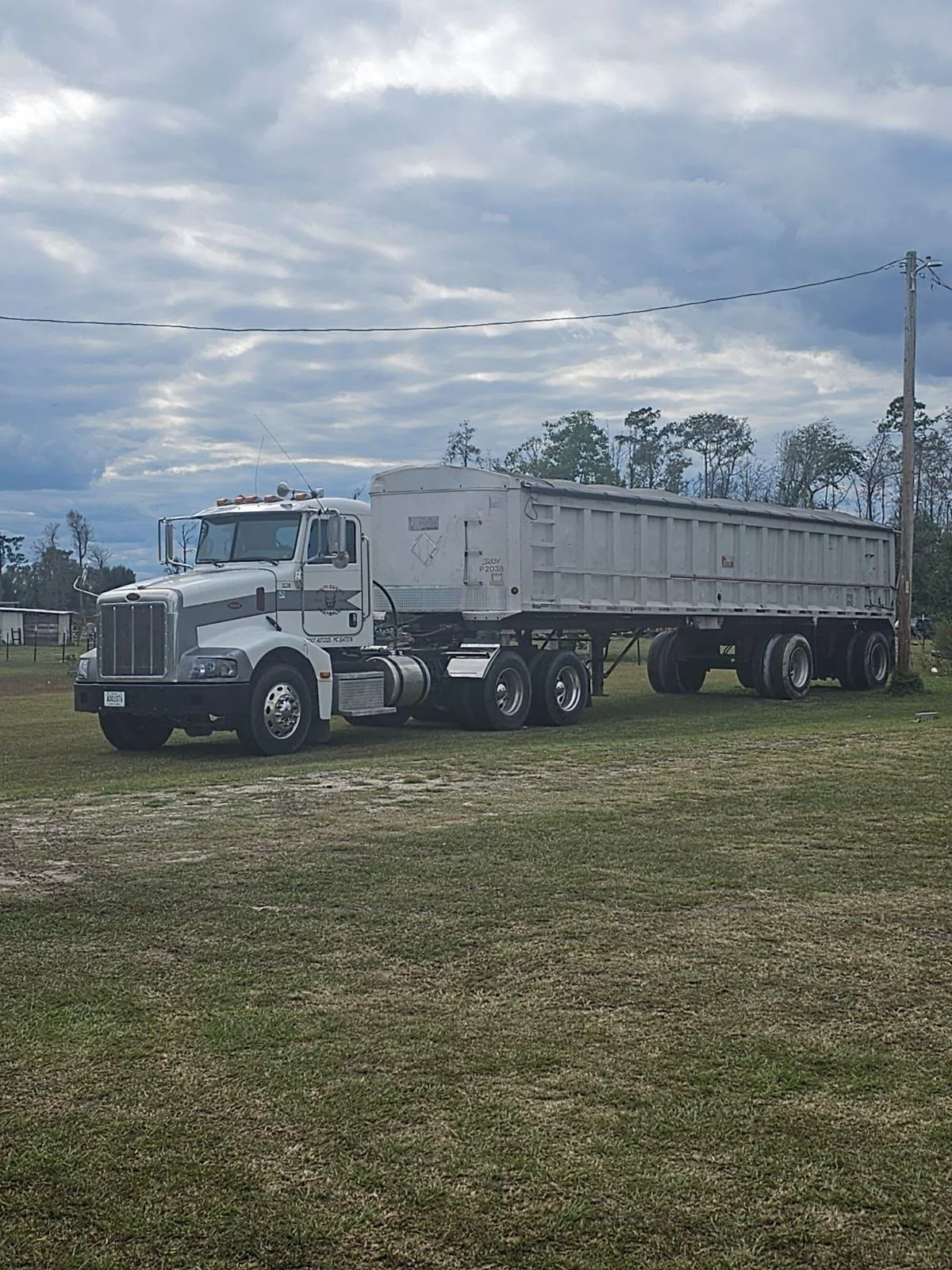 A white semi-truck with a flatbed trailer is parked on a grassy area under a cloudy sky. There are trees and a utility pole in the background.