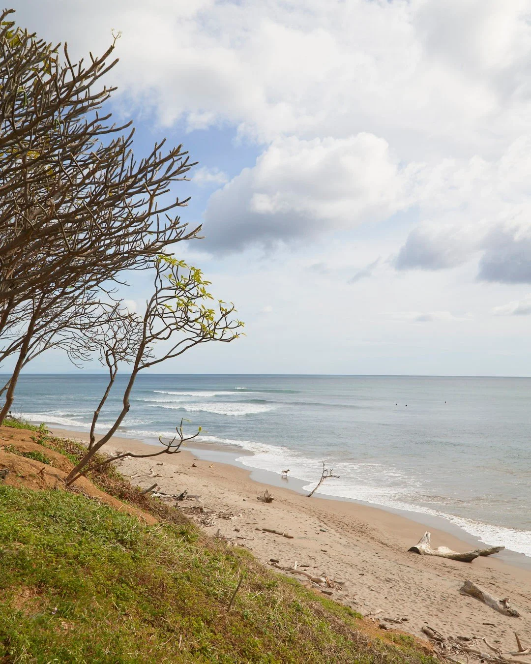An iconic stretch of the Pacific coast.
Waves shaping the land, and the days that follow.

Popoyo, Nicaragua.

.
.
.

#discovernicaragua  #visitnicaragua  #travelnicaragua  #surfnicaragua