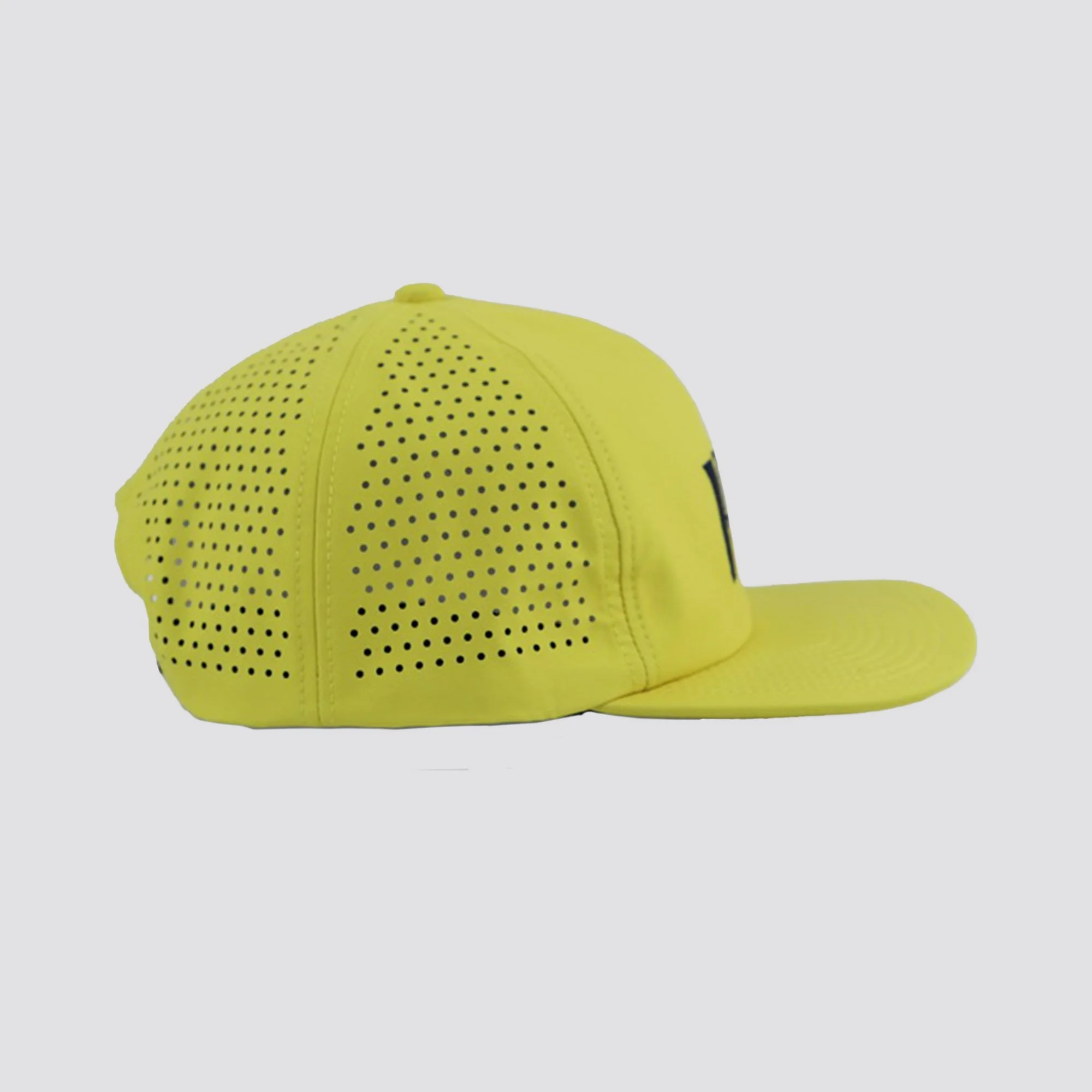 _0001s_0002_6Panel_Yellow.jpg