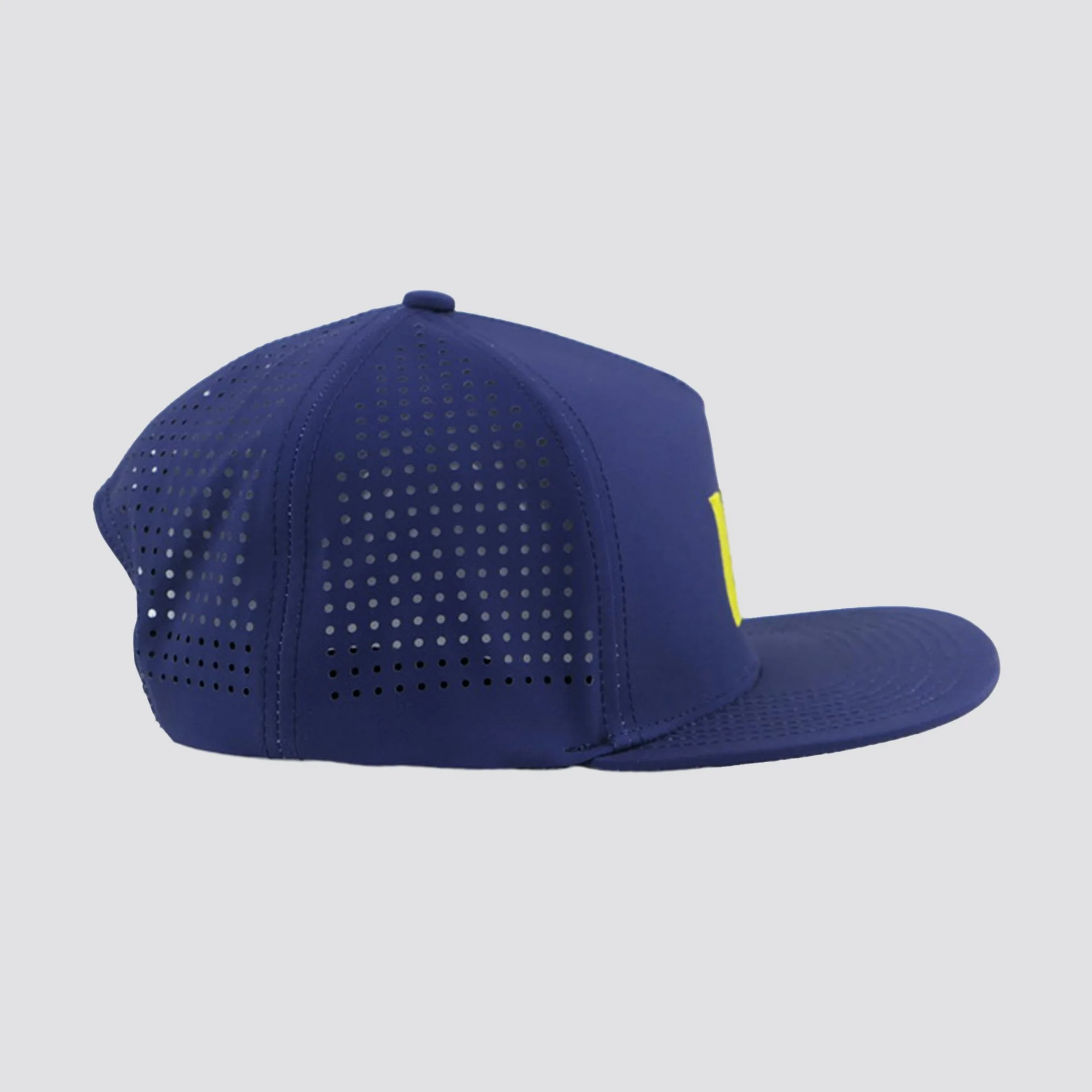 _0001s_0001_5Panel_Blue.jpg