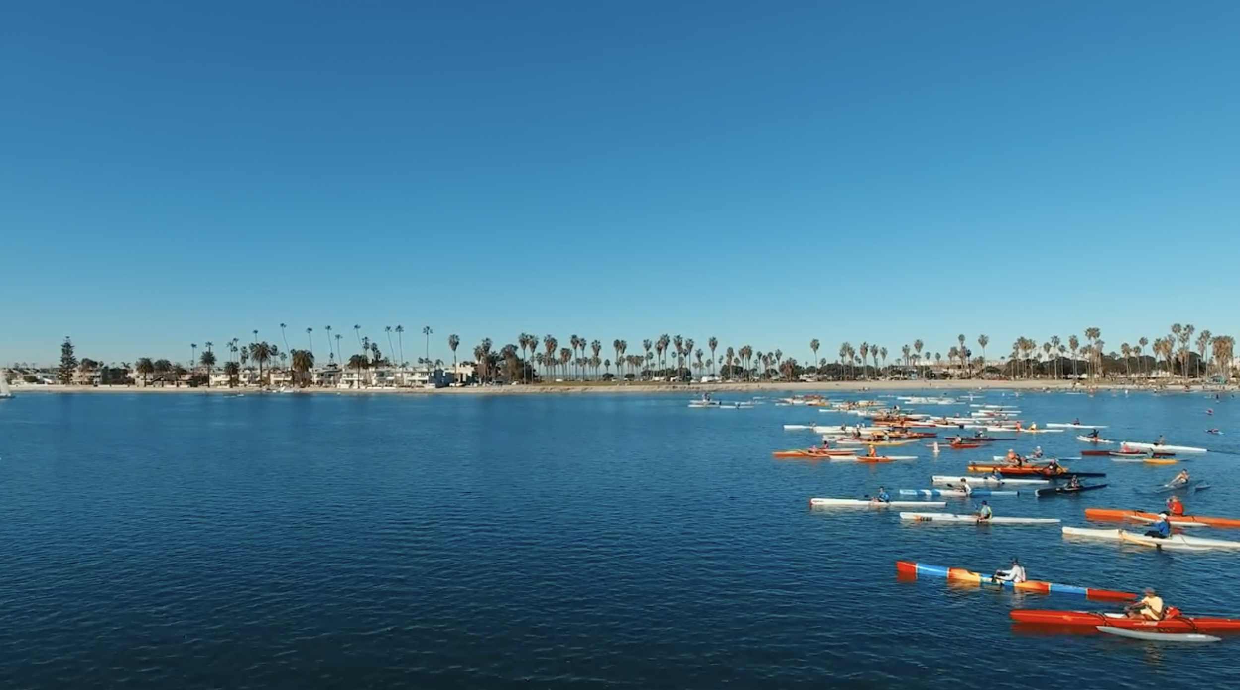 Screen Shot 2024-10-19 at 2.30.58 AM.png