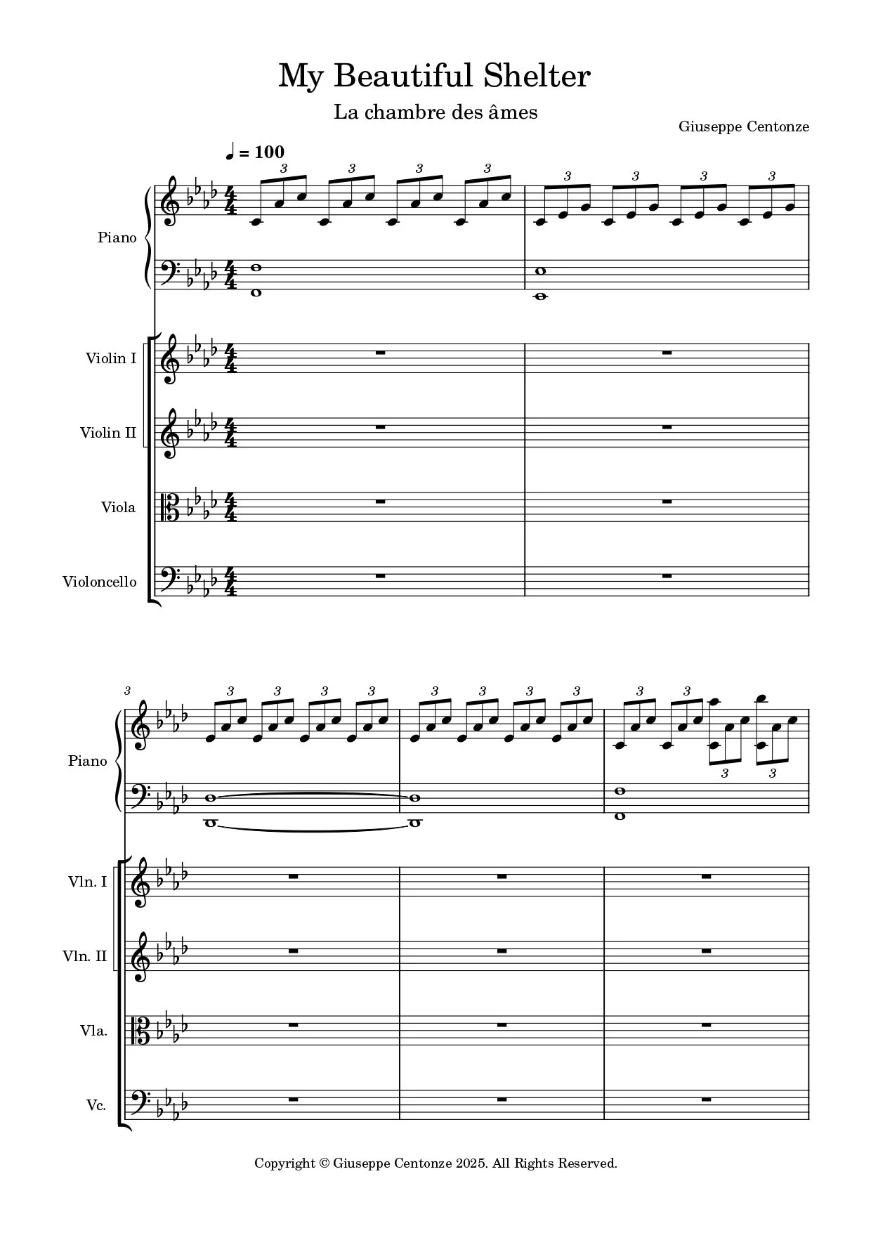 MY BEAUTIFUL SHELTER