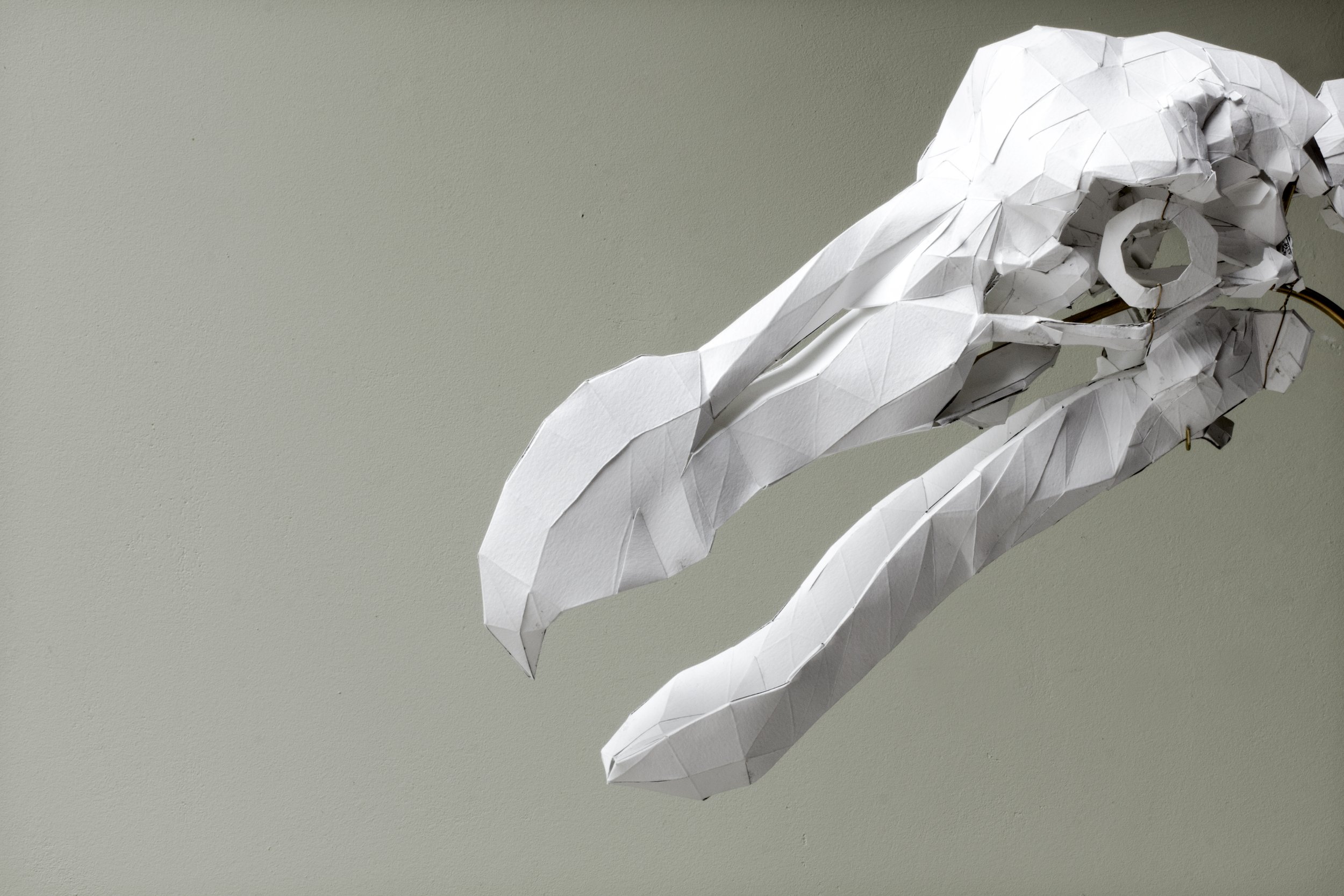 Axel Goossens, Dodo Schedel, 2019 | papier, epoxy H. 13 cm L. 28,5 cm D. 14 cm, Ed. 5/5