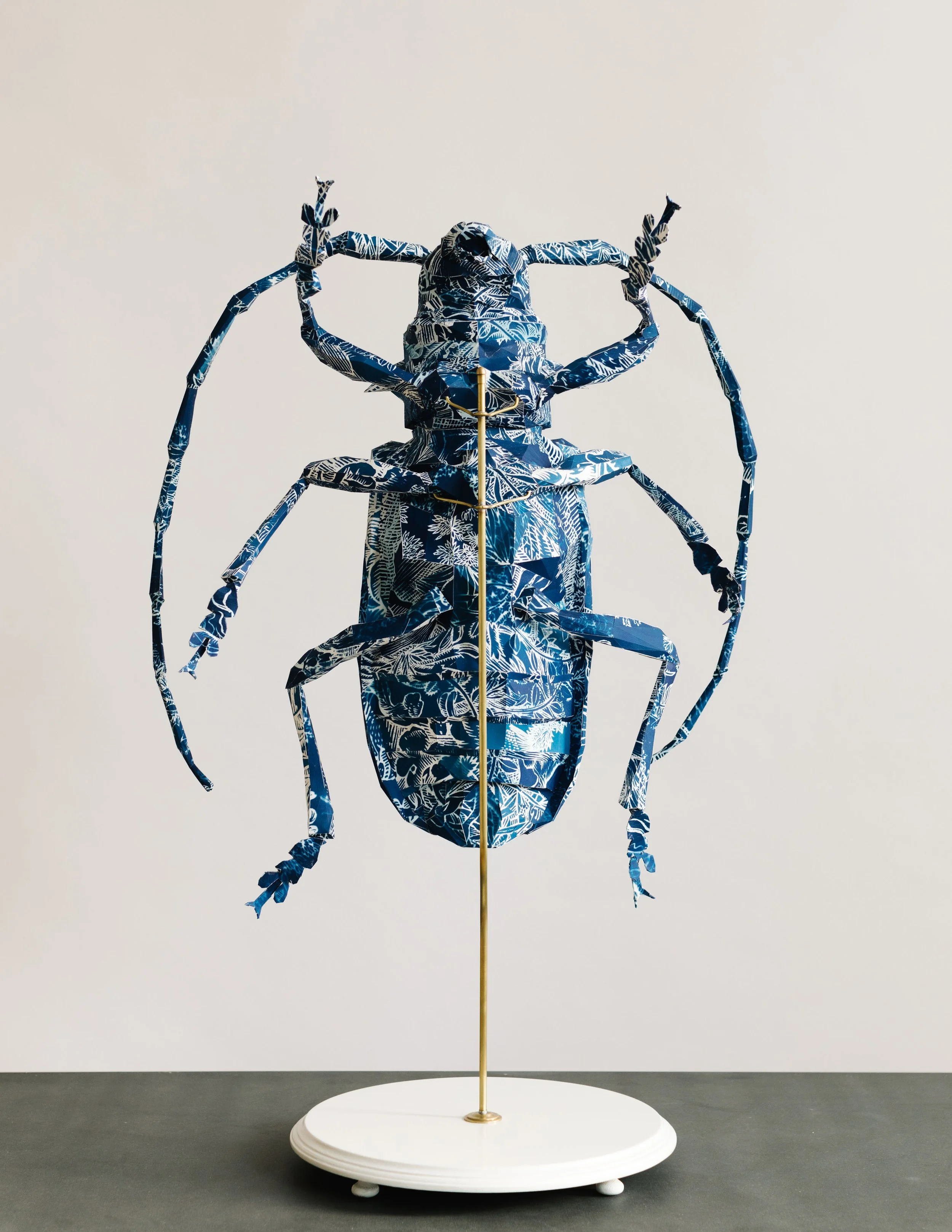 Axel Goossens, Boktor, 2020
 | papier met cyanotype, messing, hout, H. 88,5 cm L. 55 cm D. 38cm, Ed.1/1
