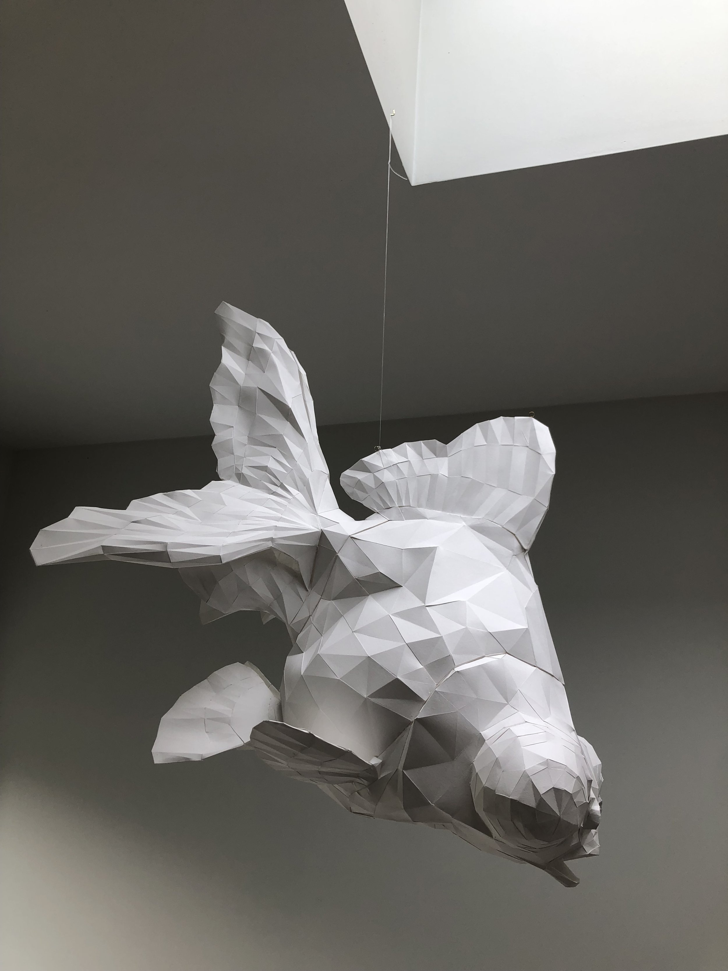 Axel Goossens, Goudvis, 2022 | papier, epoxy, H. 53 cm L. 80 cm D. 43 cm, Ed. 1/5