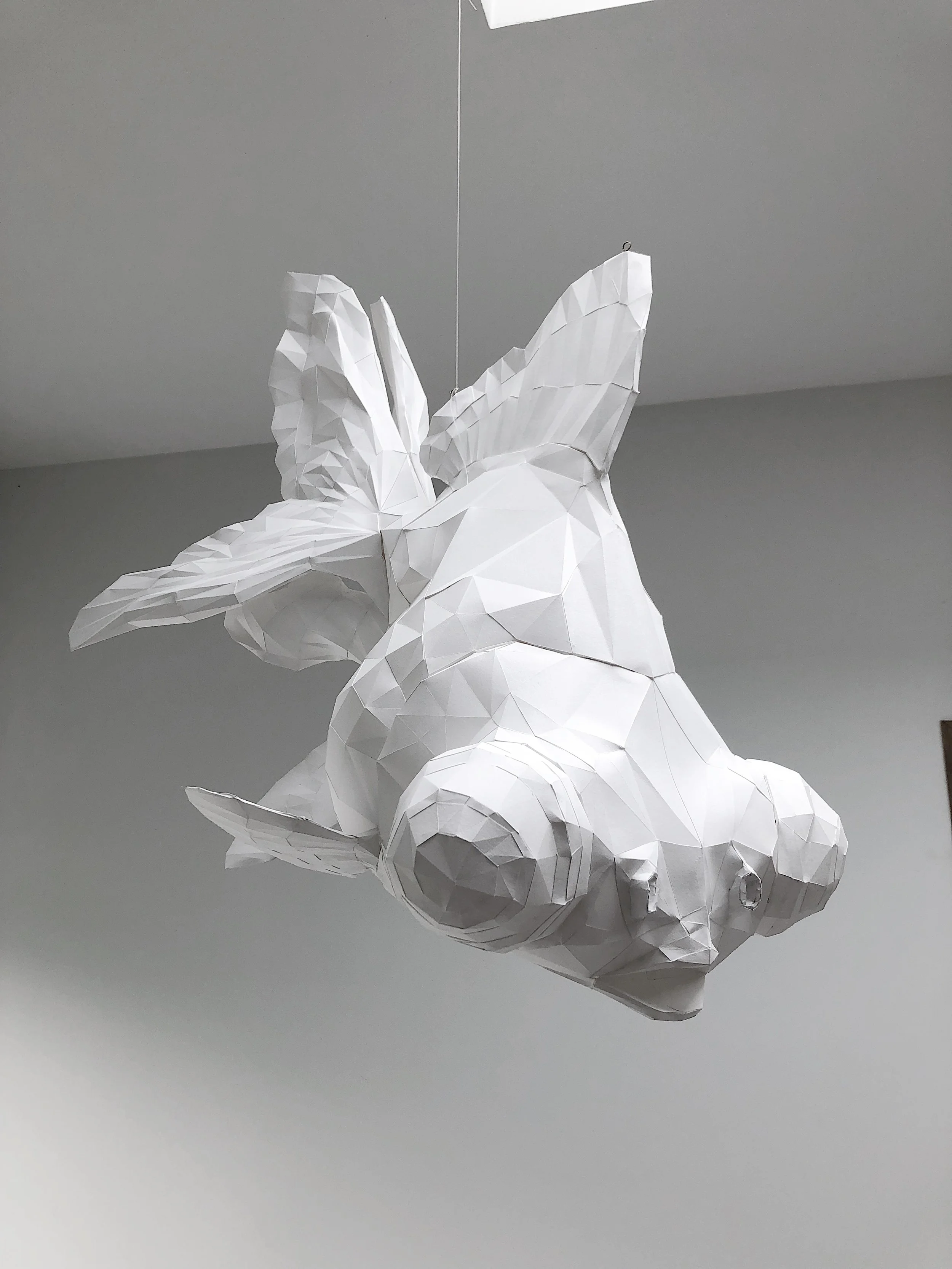 Axel Goossens, Goudvis, 2022 | papier, epoxy, H. 53 cm L. 80 cm D. 43 cm, Ed. 1/5