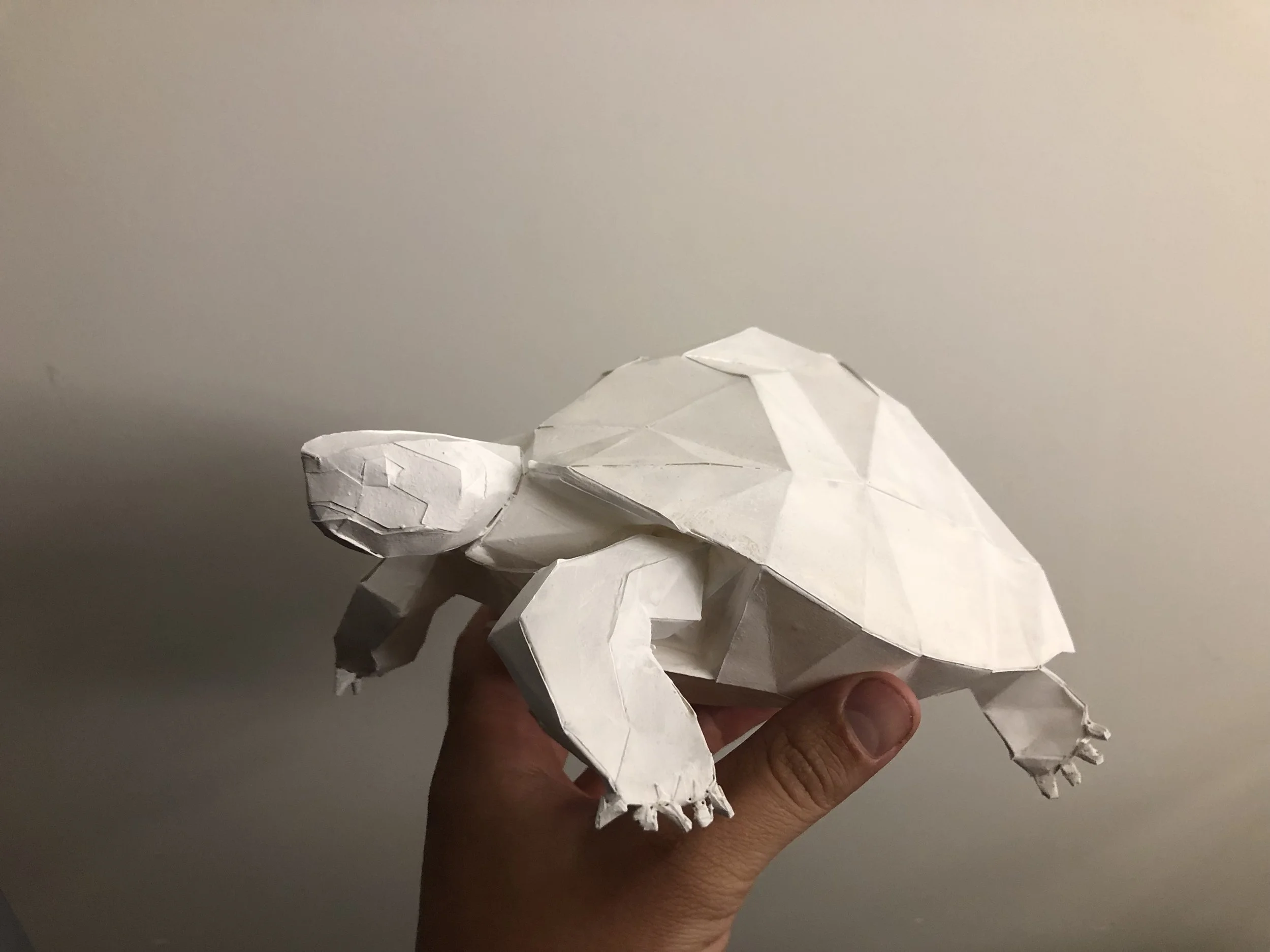 Axel Goossens, Schildpad, 2020 | papier, epoxy H. 14 cm L. 25,3 cm D. 14 cm, Ed. 10/10