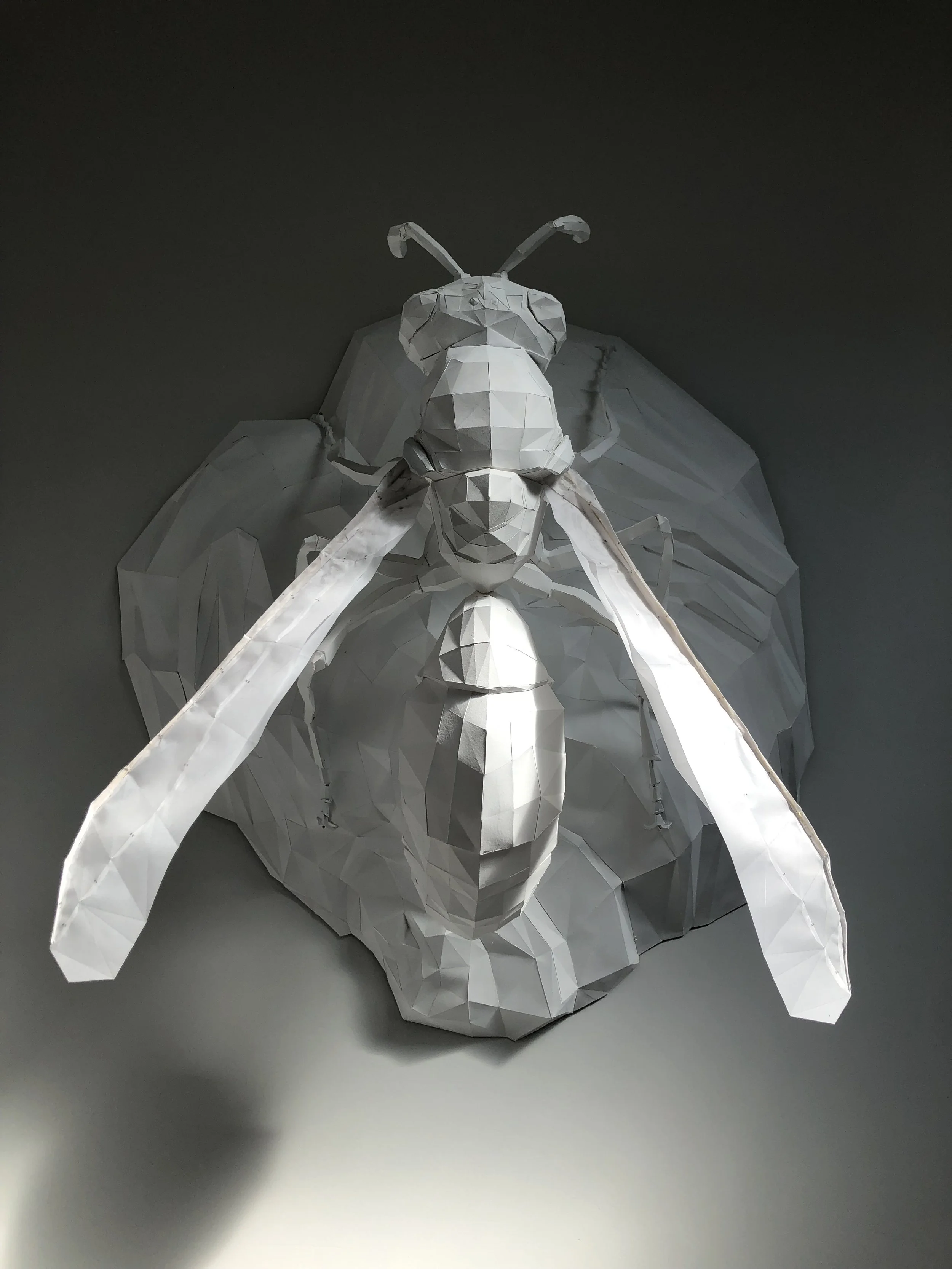 Axel Goossens, Wesp, 2022 | papier, epoxy, messing, hout H. 80 cm L. 80 cm, Ed. 1/1