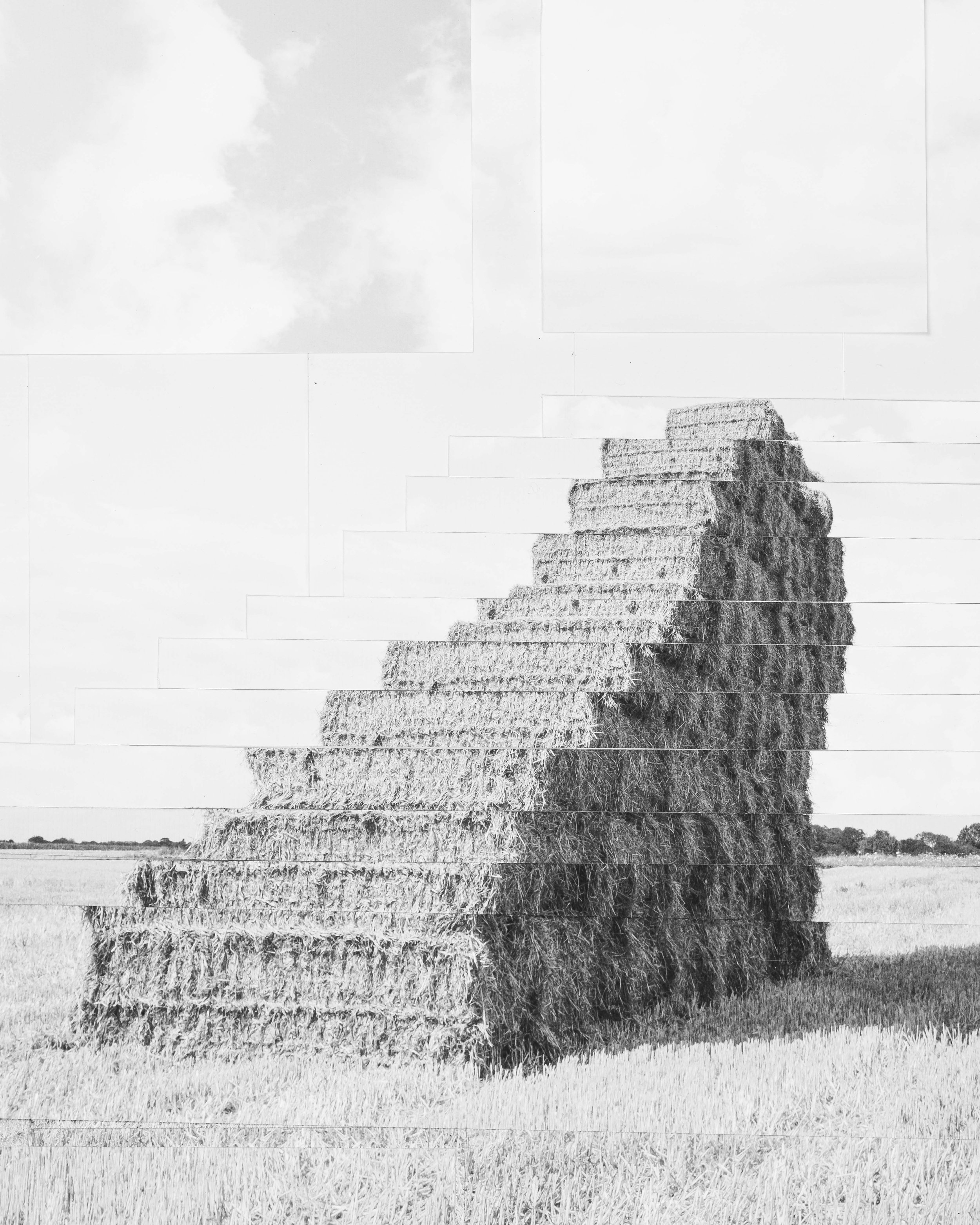 Horizontal Mutation 1 50x60 cm, 45x60cm, 45x60 cm