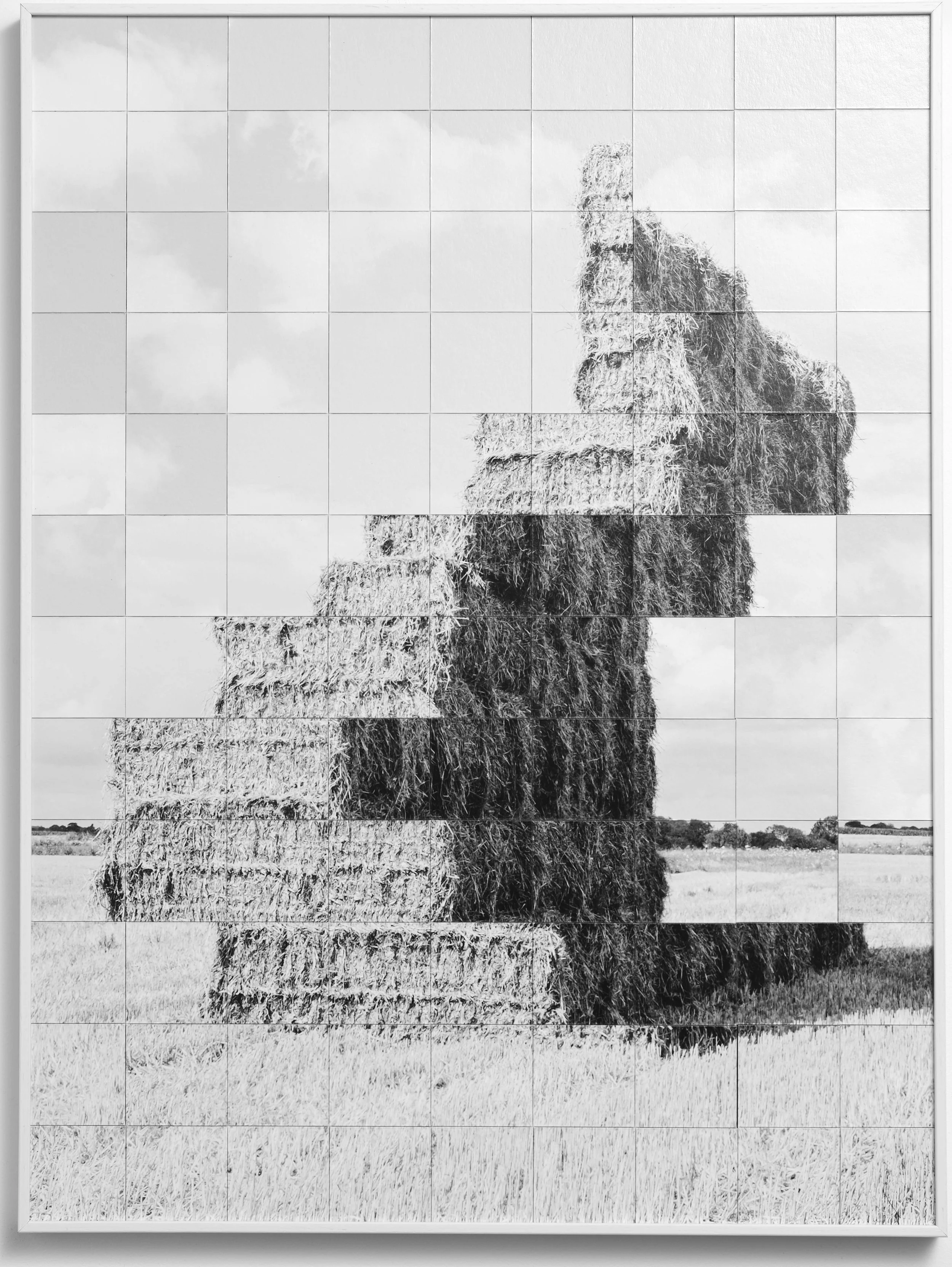 Horizontal Mutation 1,2,3. 50x60 cm, 45x60cm, 45x60 cm