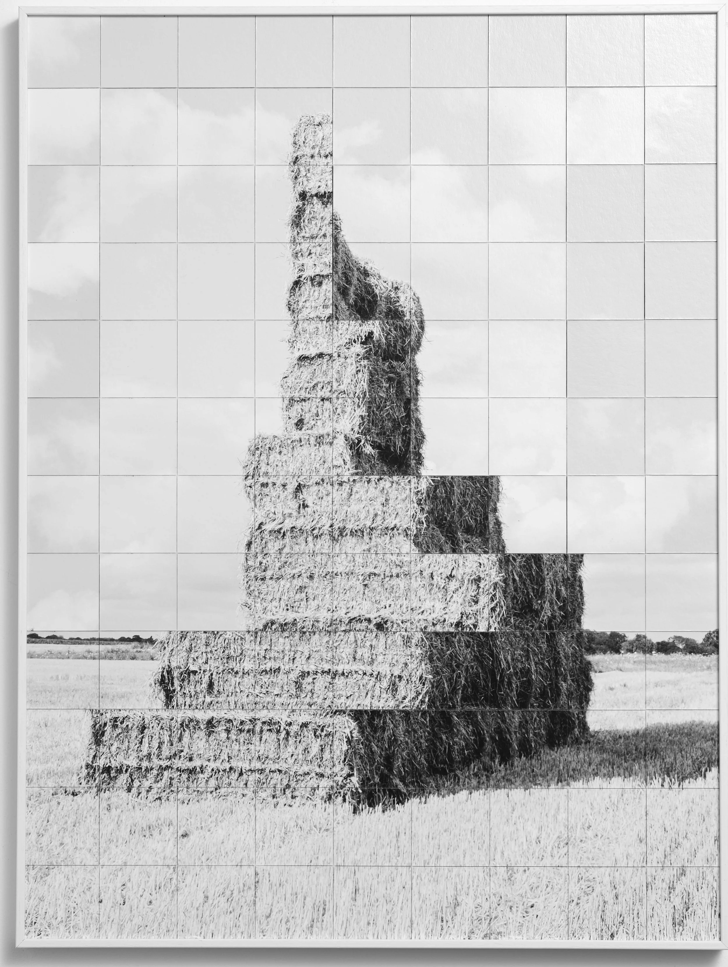 Horizontal Mutation 1,2,3. 50x60 cm, 45x60cm, 45x60 cm