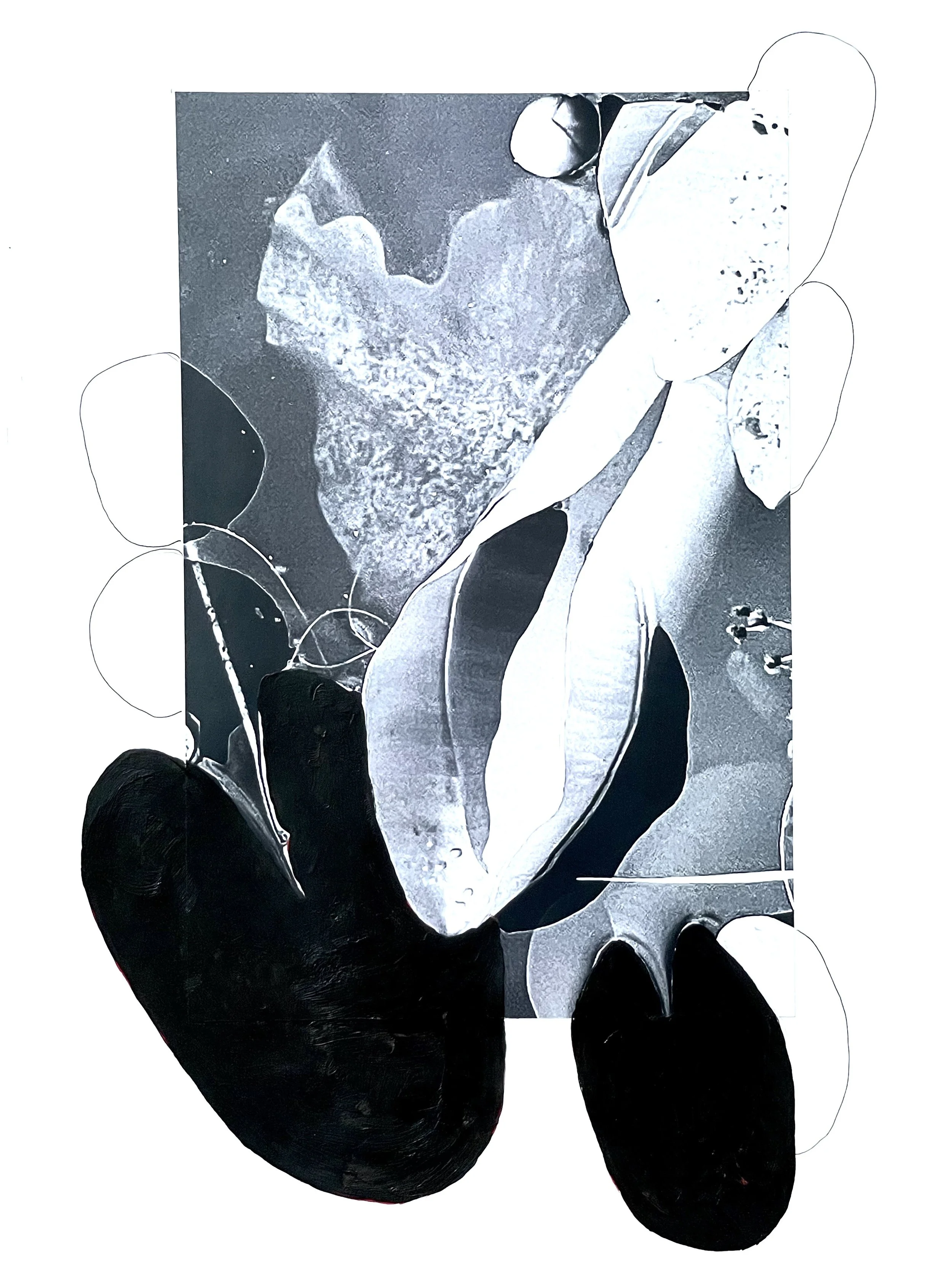 LILY - 2024 - Unique
Photo/Acrylic/Paper - 29x39cm