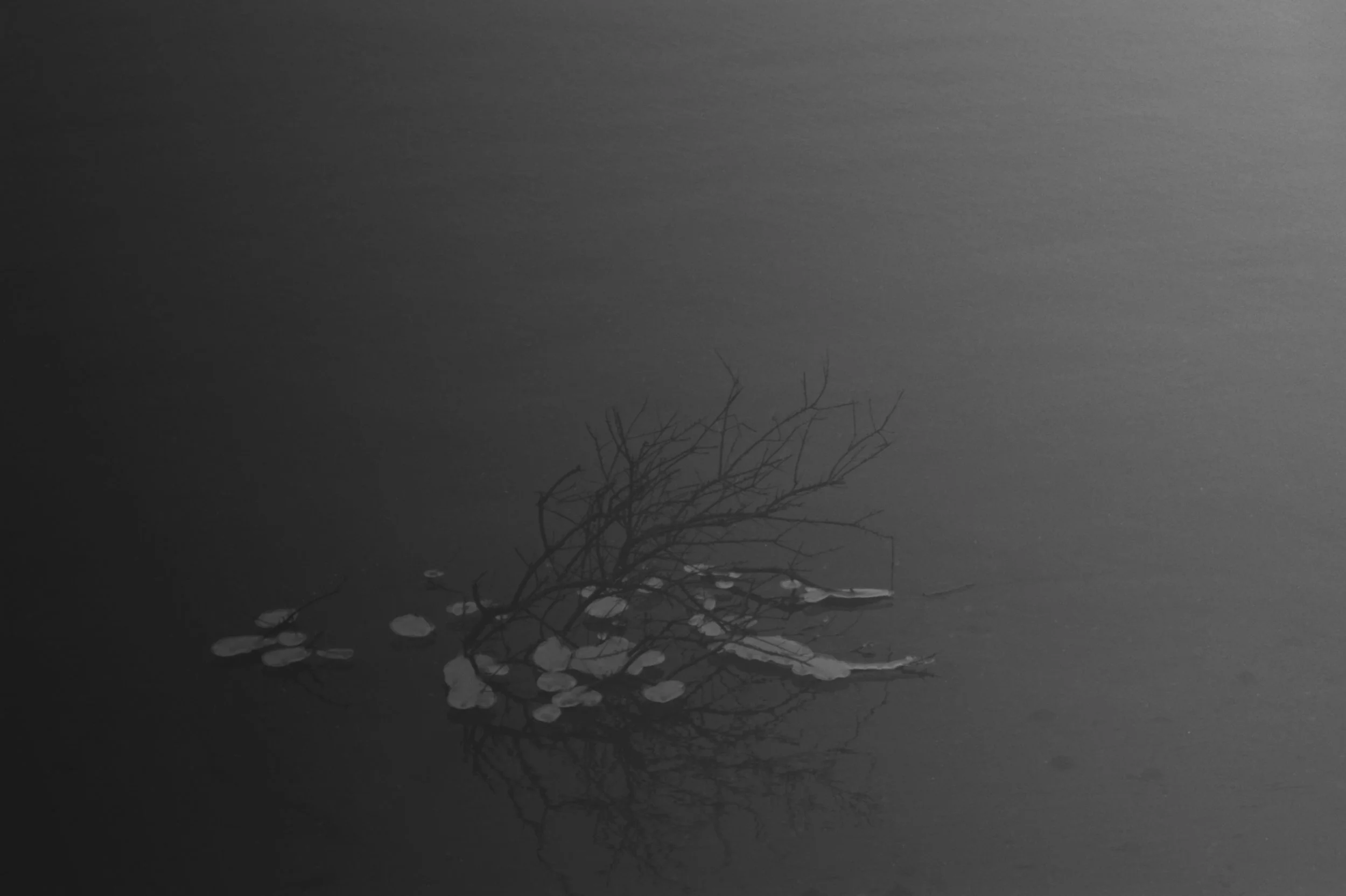 Elizabeth Alderliesten, Katio, 2022, Archival Pigment Print, 120 x 80 cm, Ed. 5 & 2AP