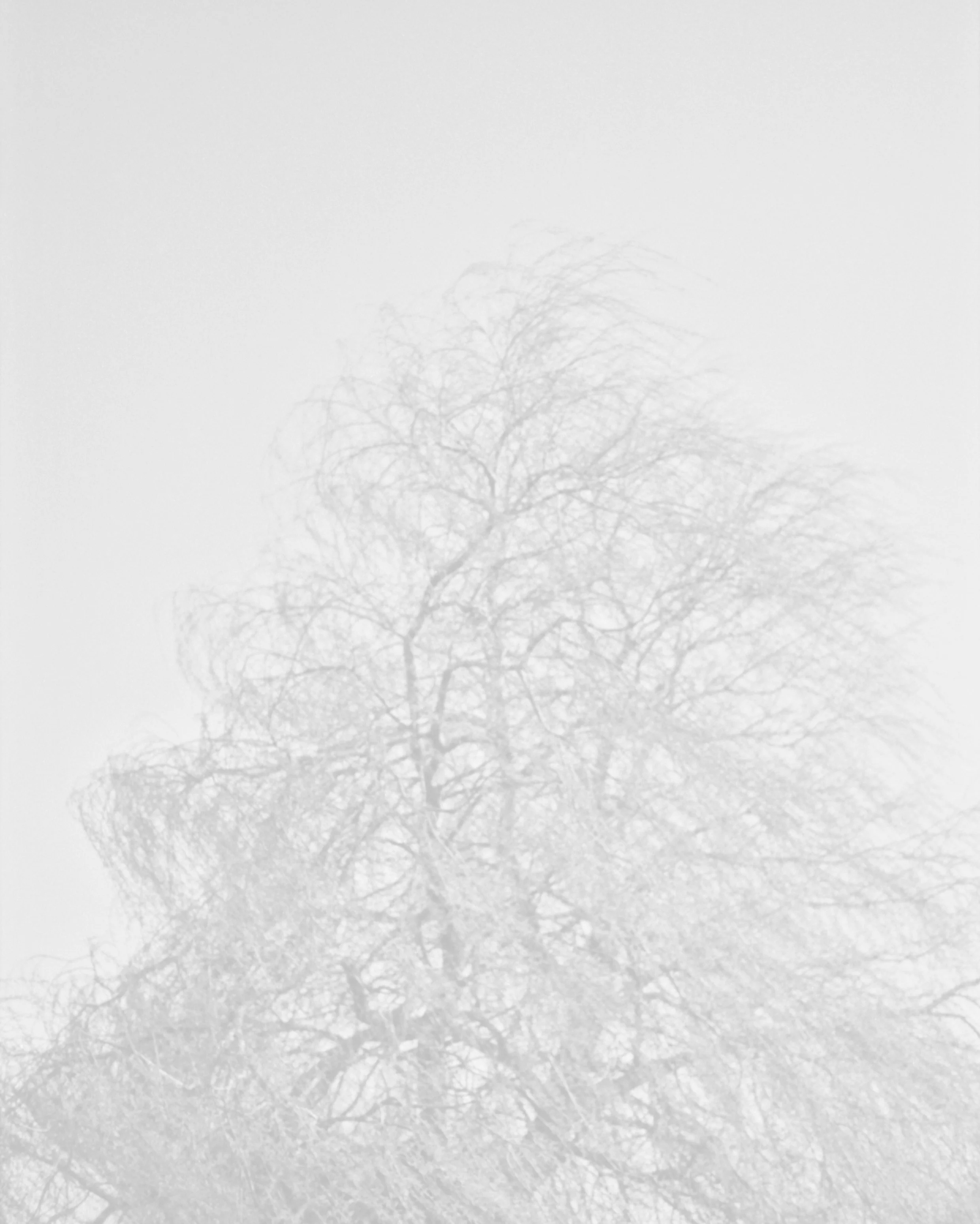 Elizabeth Alderliesten, Burra, 2020, Archival Pigment Print on washi paper, 40 x 50 cm, Ed. 7 & 2AP